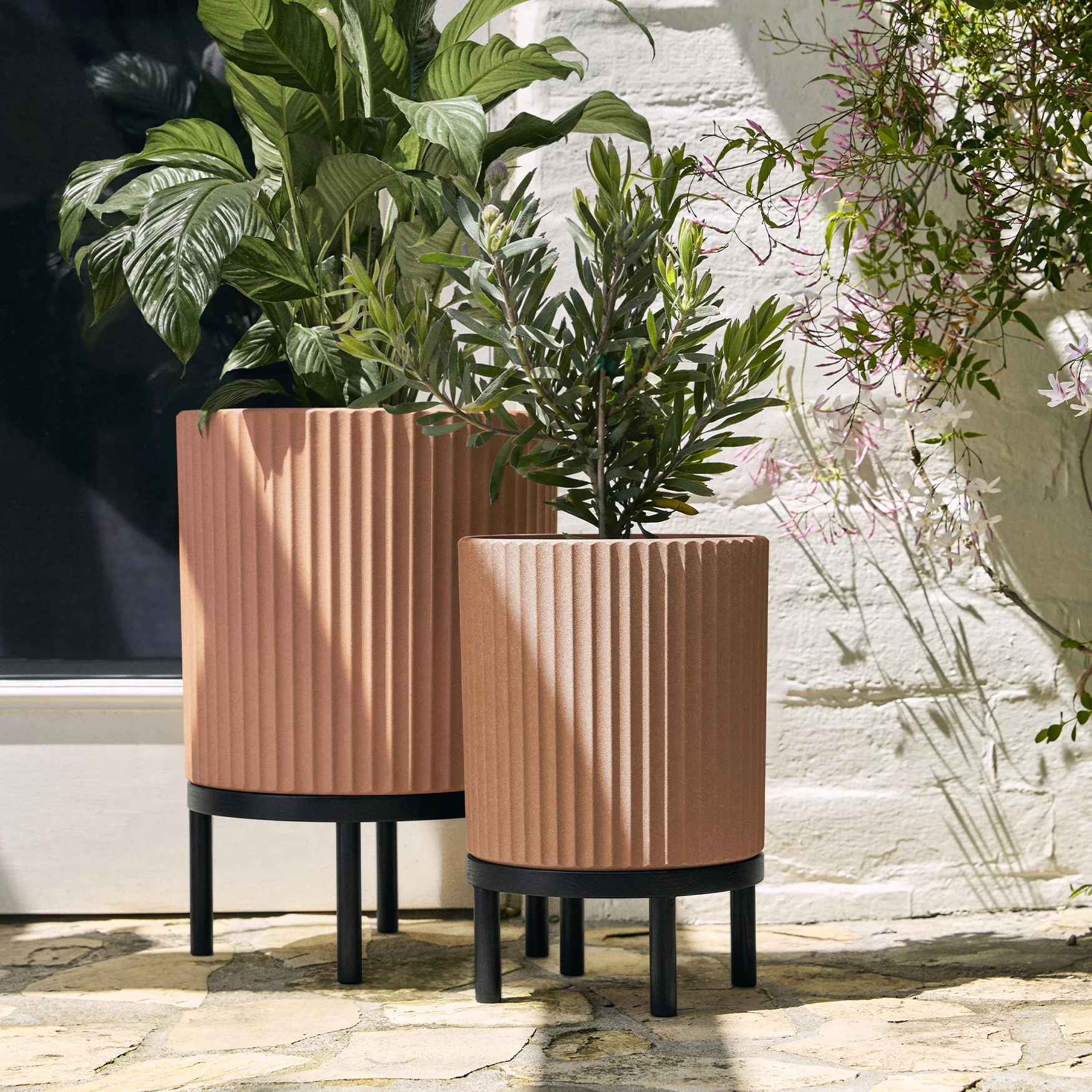 demi raised duo - Image 123