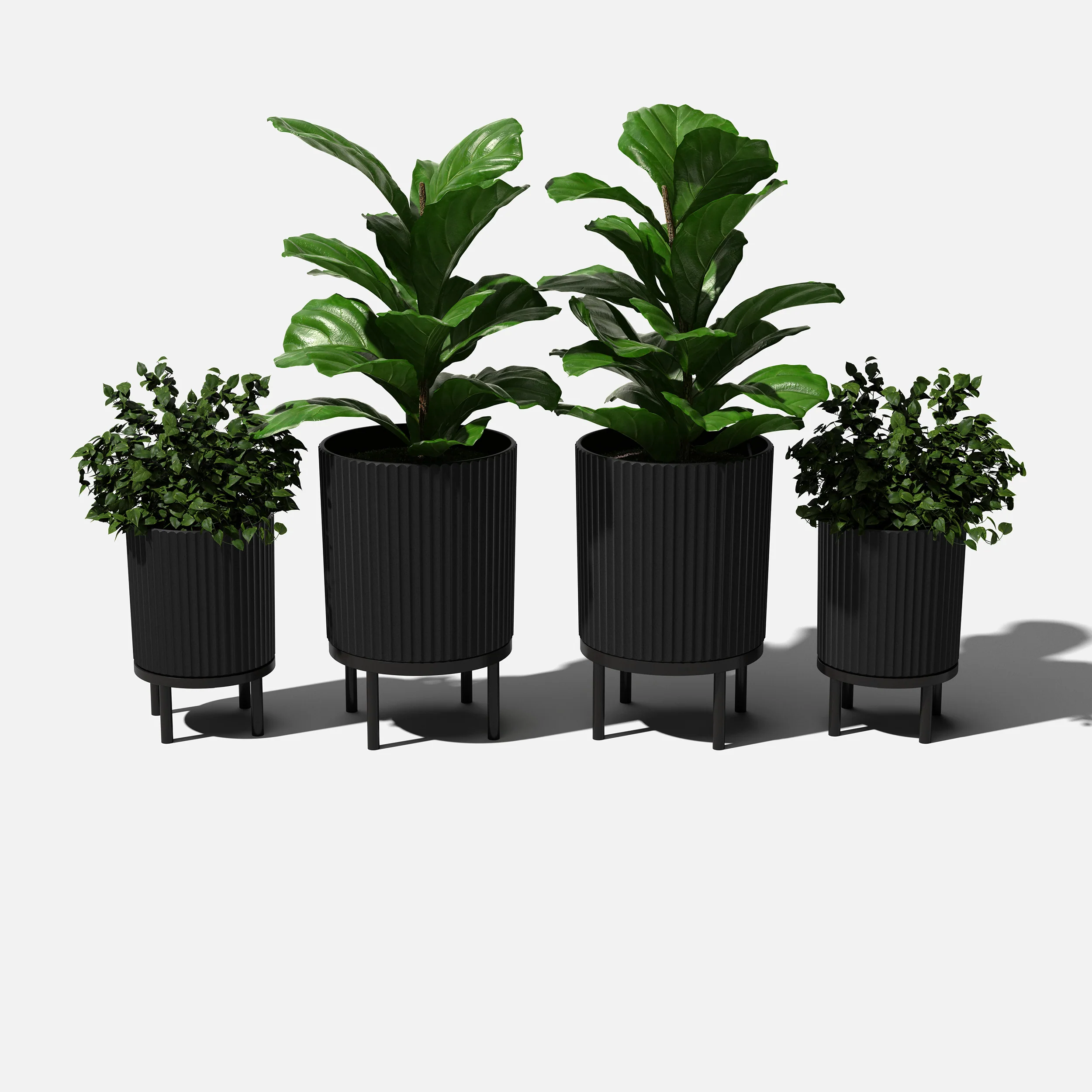 demi raised duo - Image 19