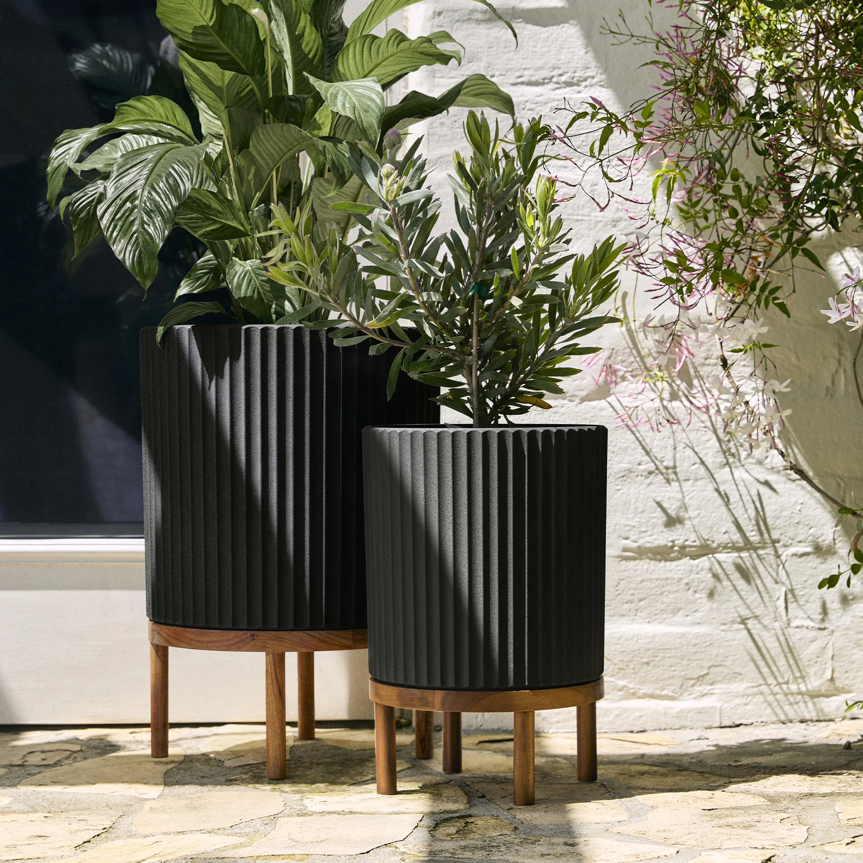 demi raised duo - Image 21