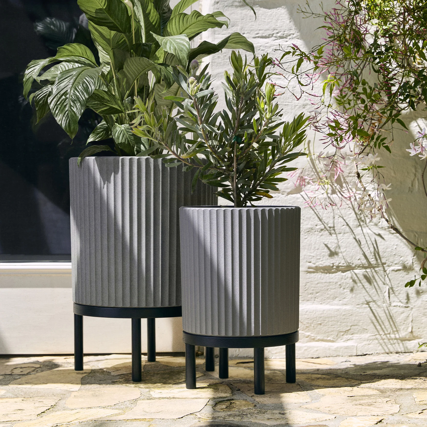 demi raised duo - Image 39