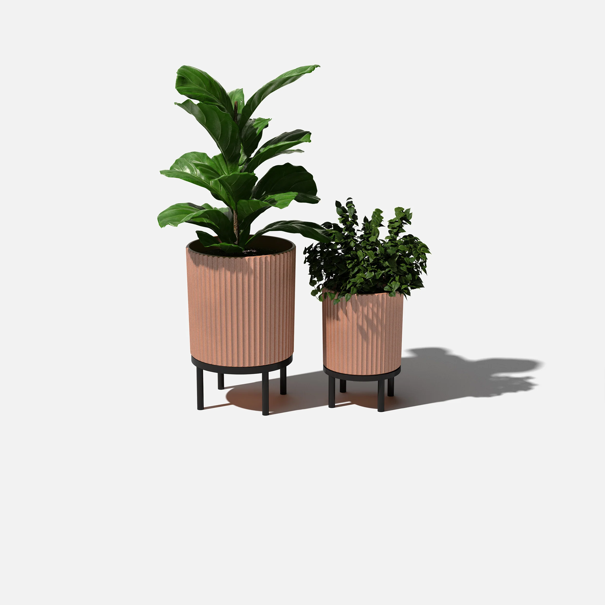demi raised duo - Image 4
