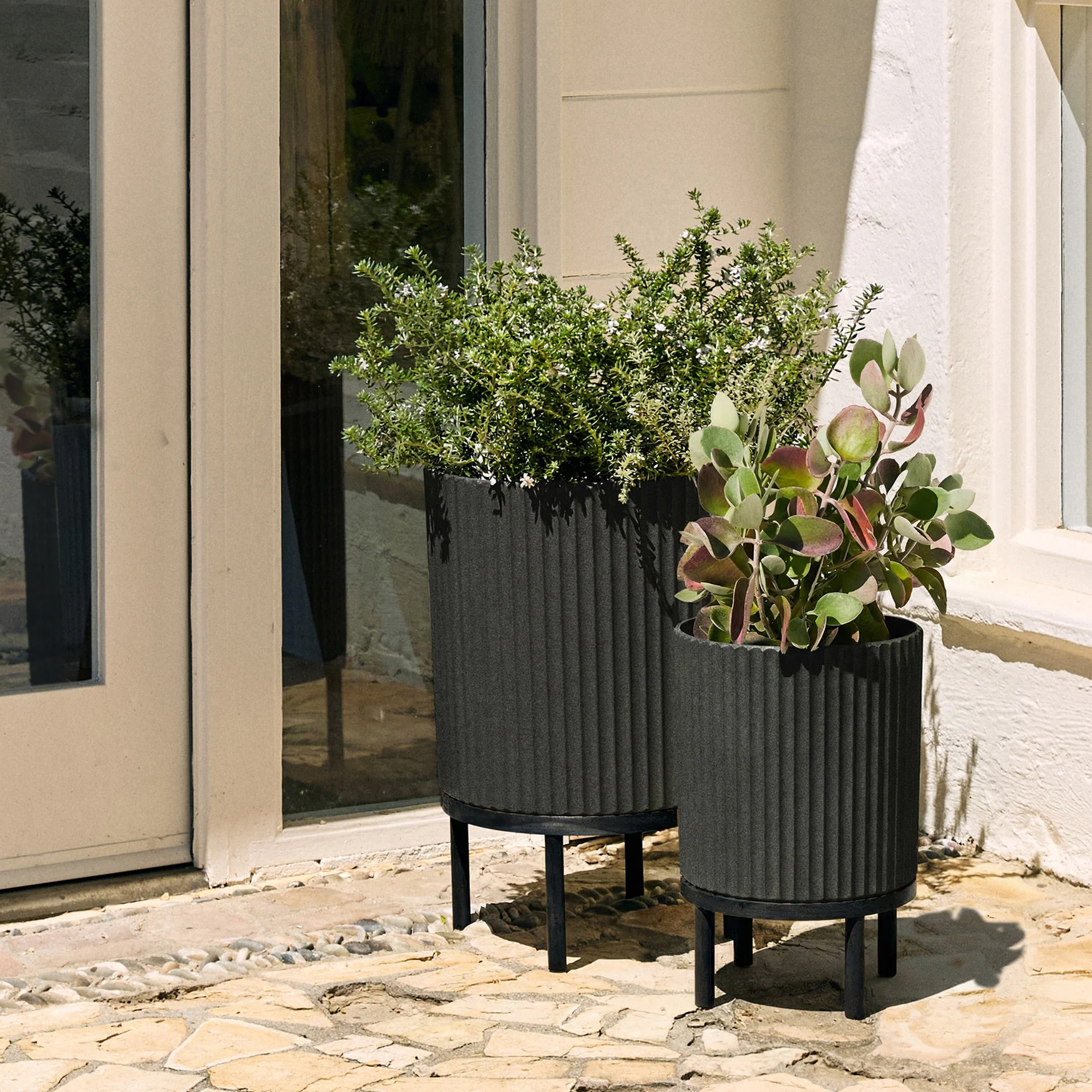 demi raised duo - Image 5