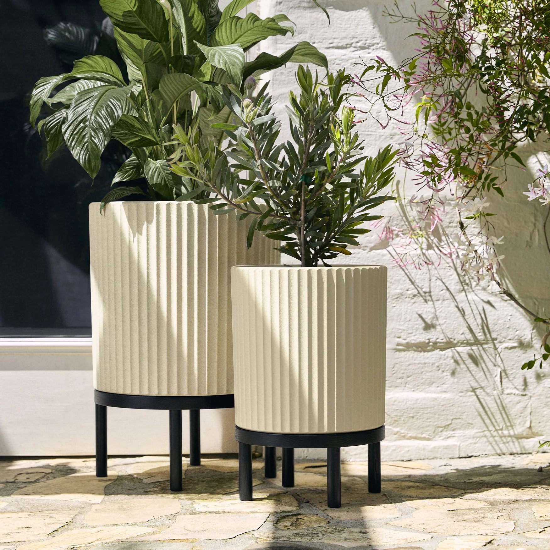 demi raised duo - Image 64