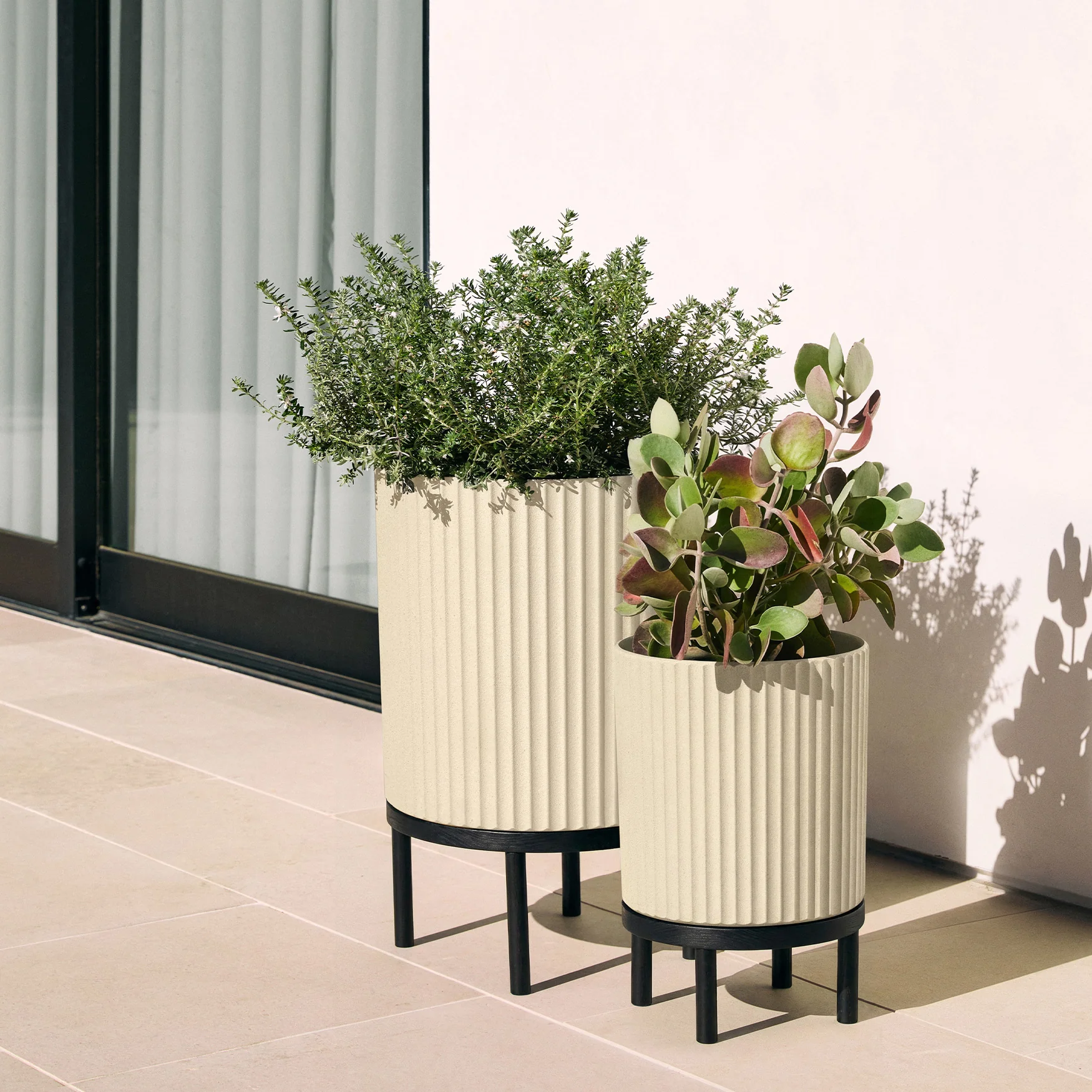 demi raised duo - Image 65