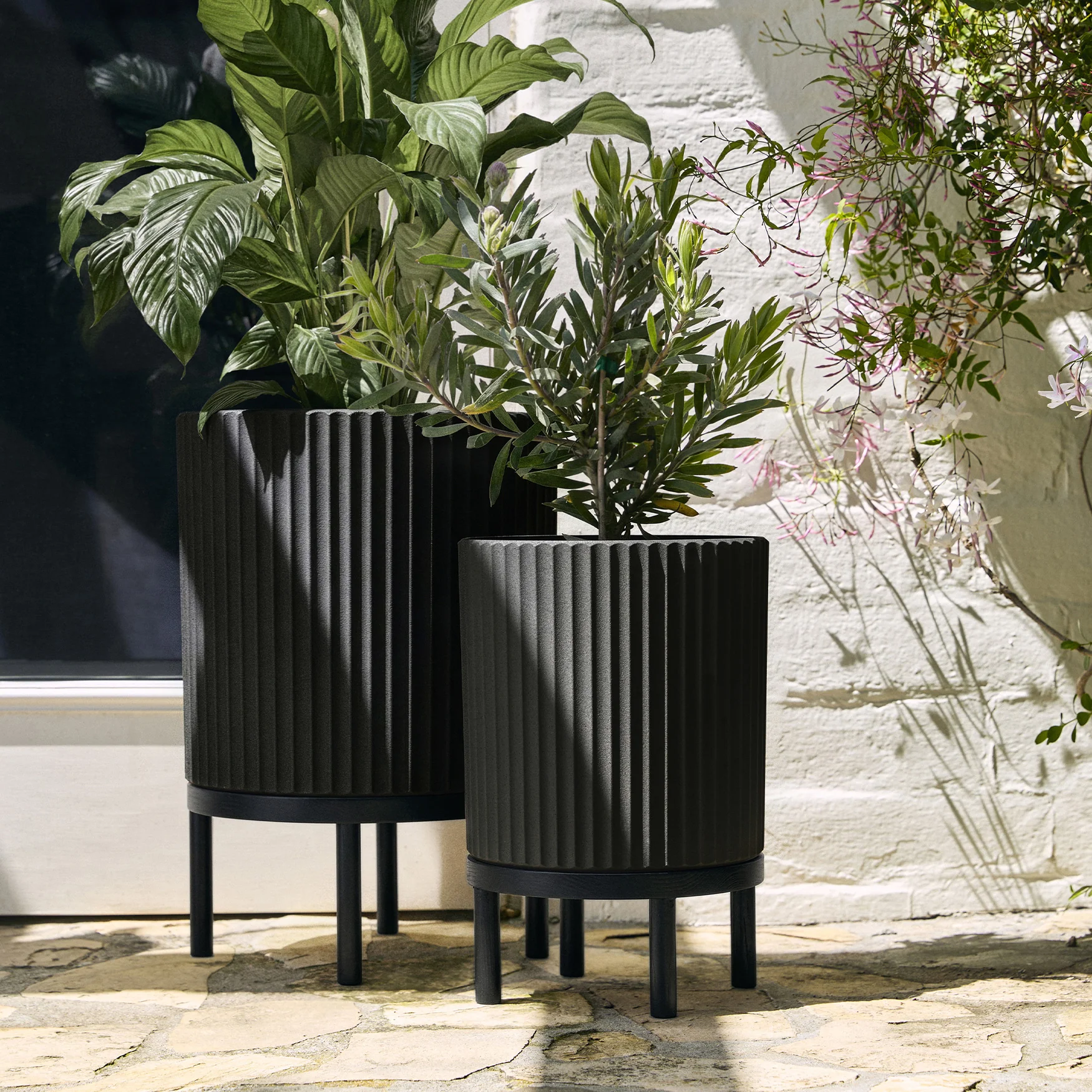demi raised duo - Image 7