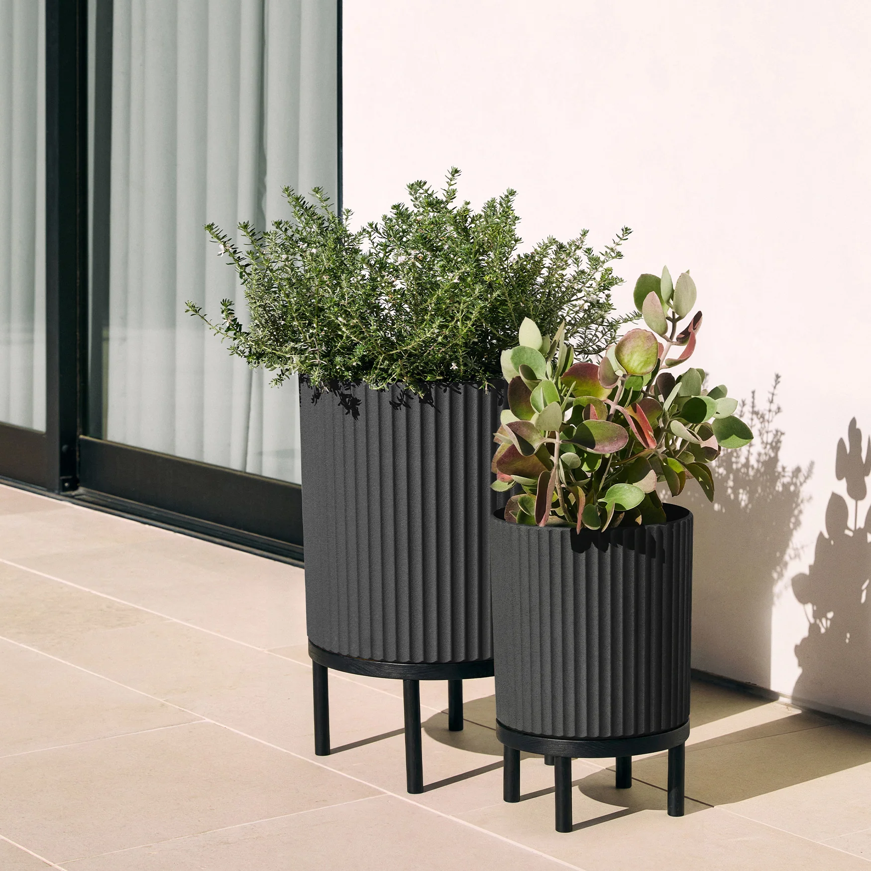 demi raised duo - Image 9