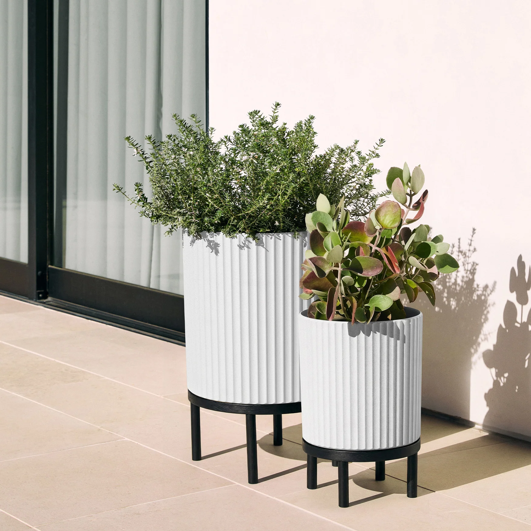 demi raised duo - Image 90