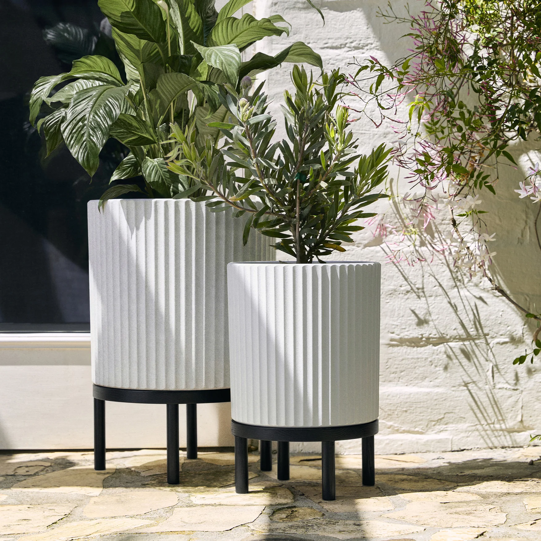 demi raised duo - Image 95