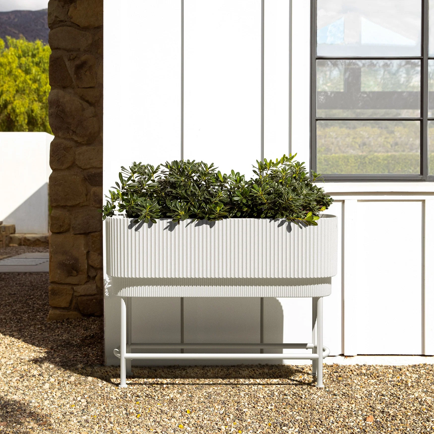 demi raised garden bed - Image 28