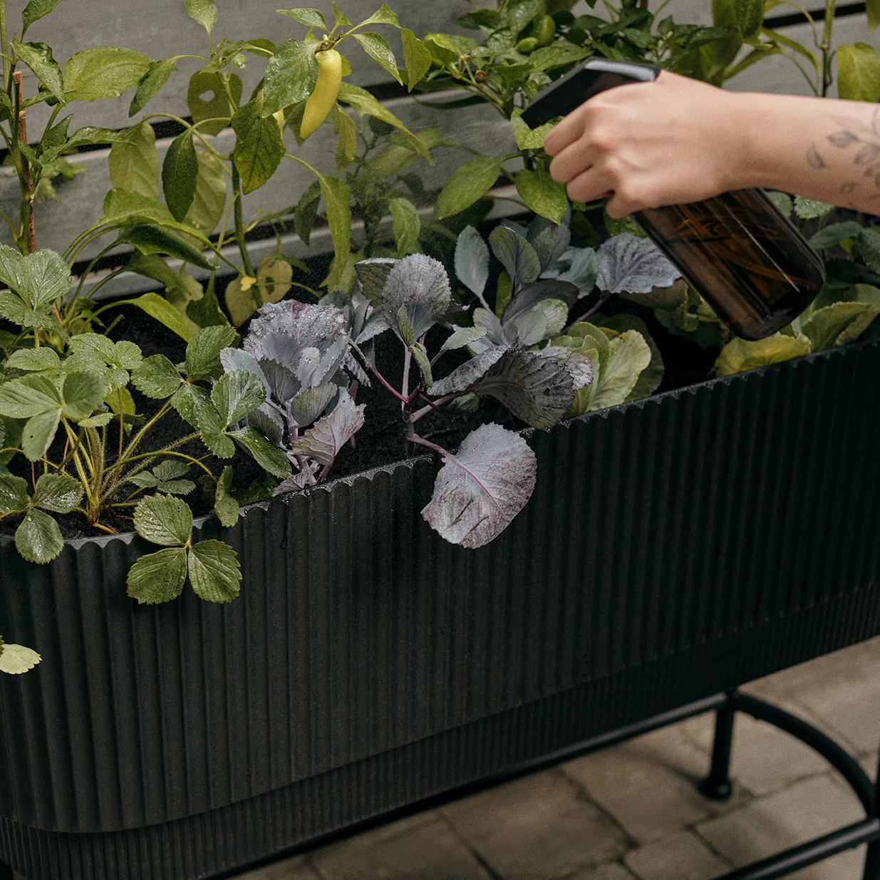 demi raised garden bed - Image 30