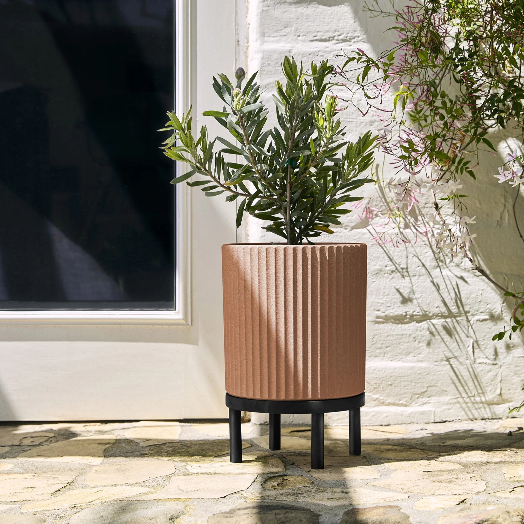 demi raised planter - Image 121