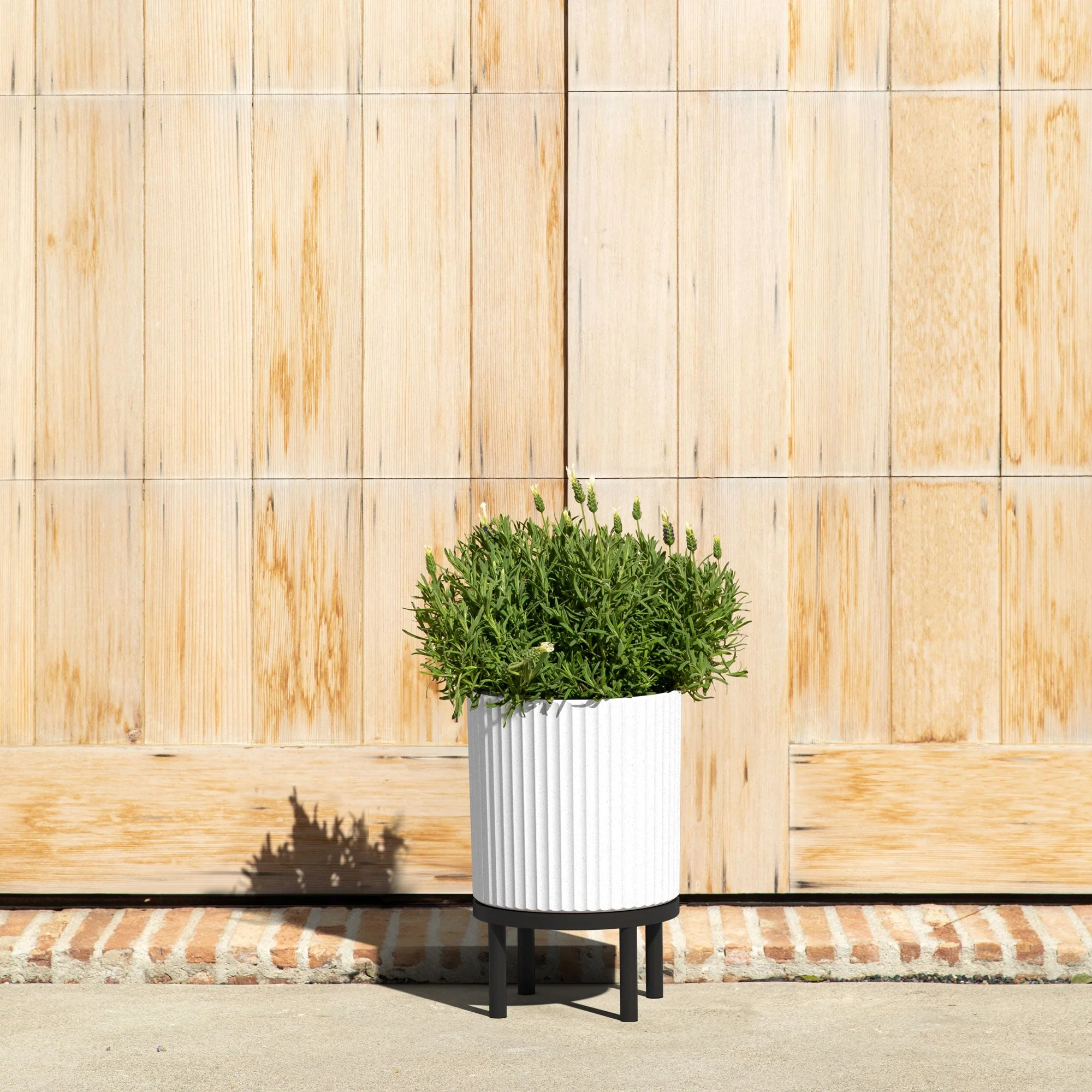 demi raised planter - Image 158