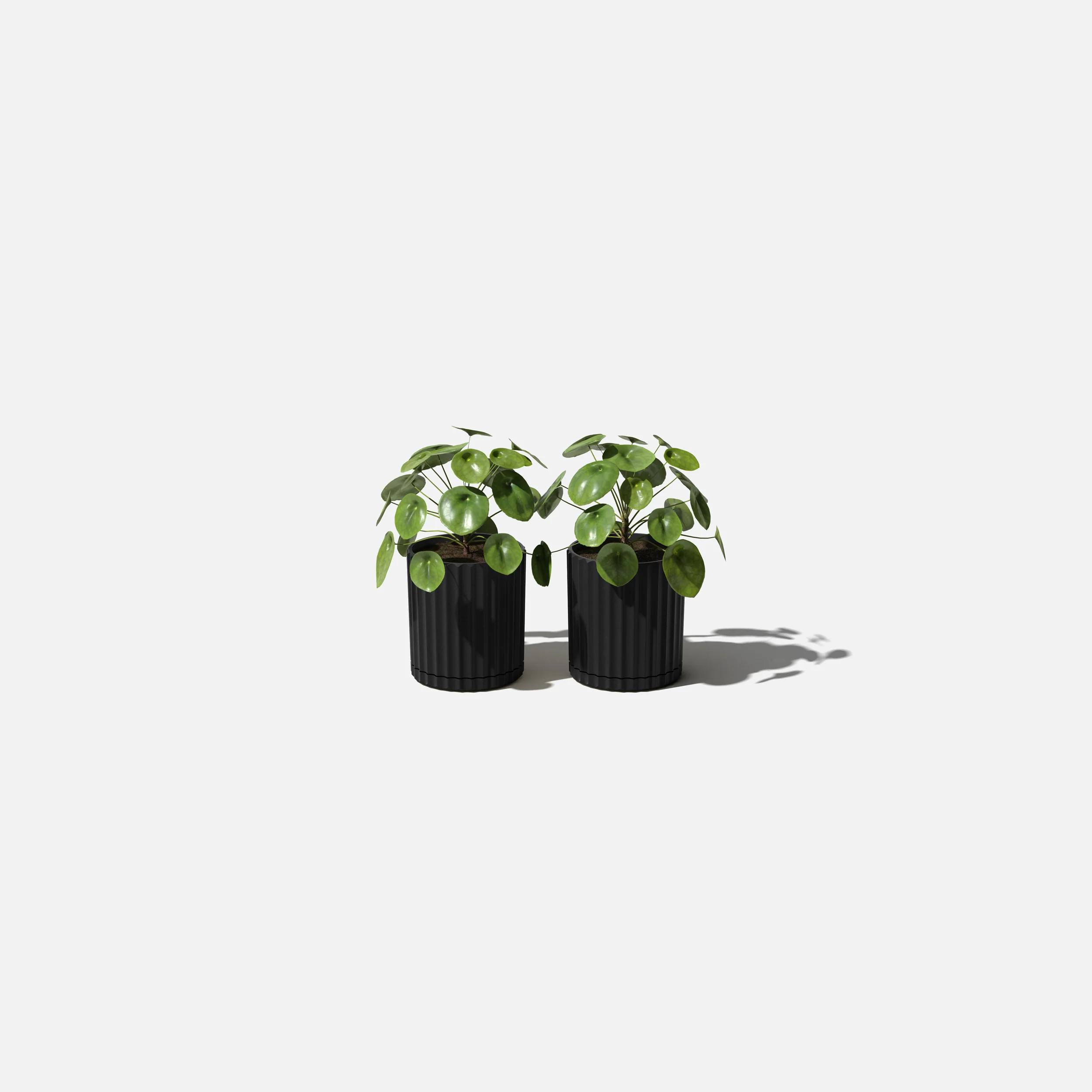 demi six planter - Image 102