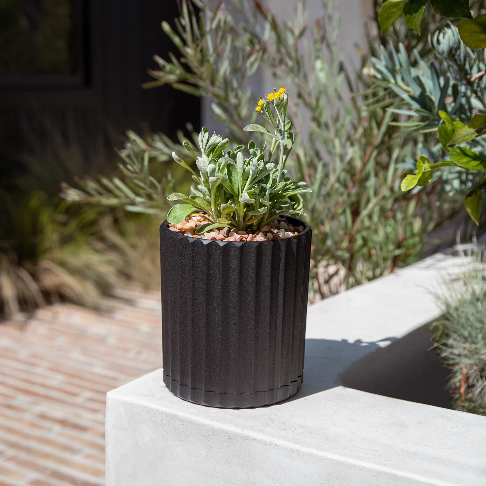 demi six planter - Image 103