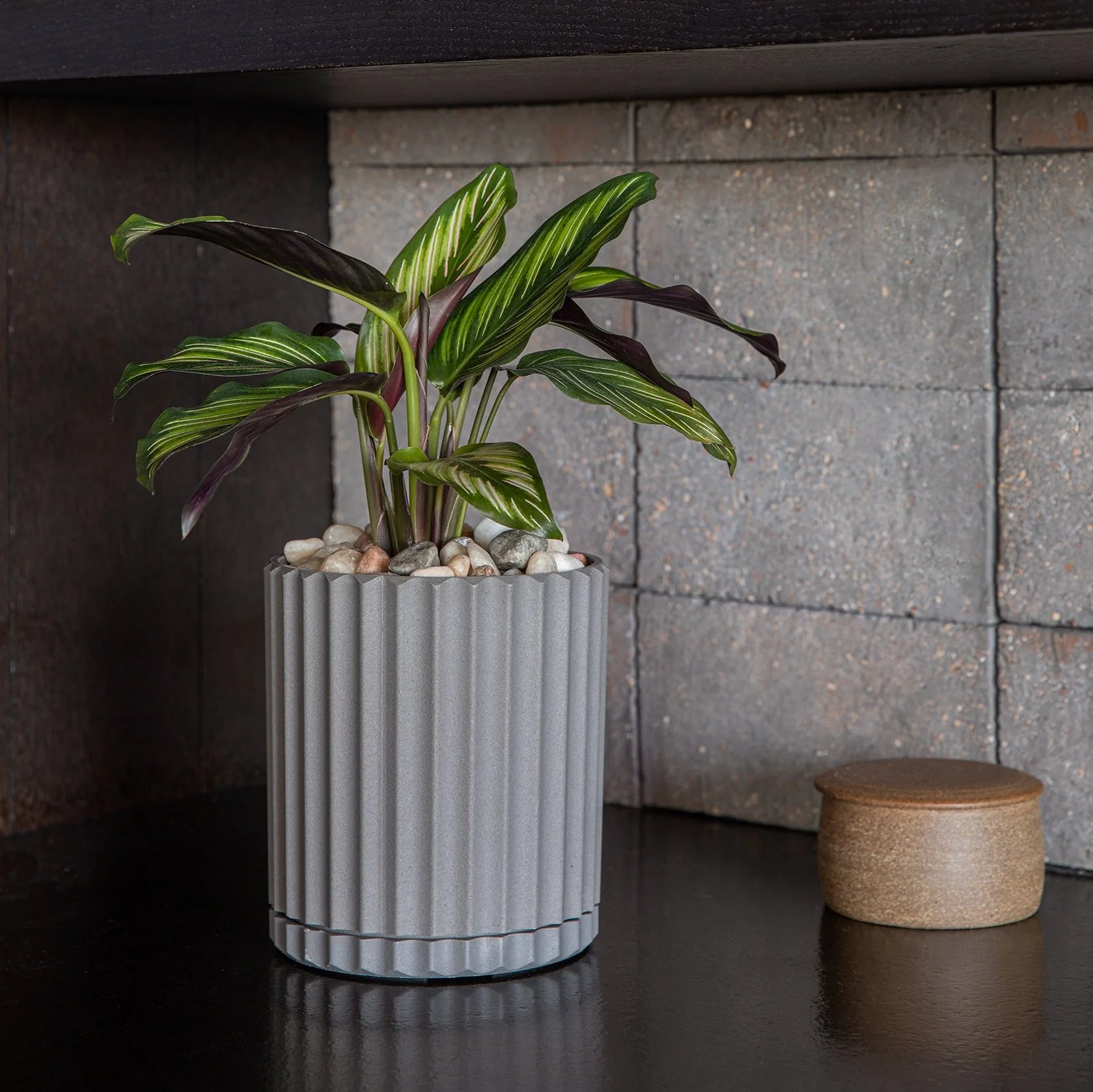 demi six planter - Image 23