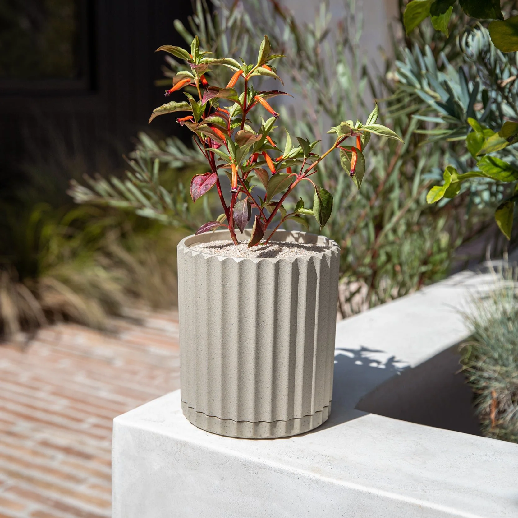 demi six planter - Image 31