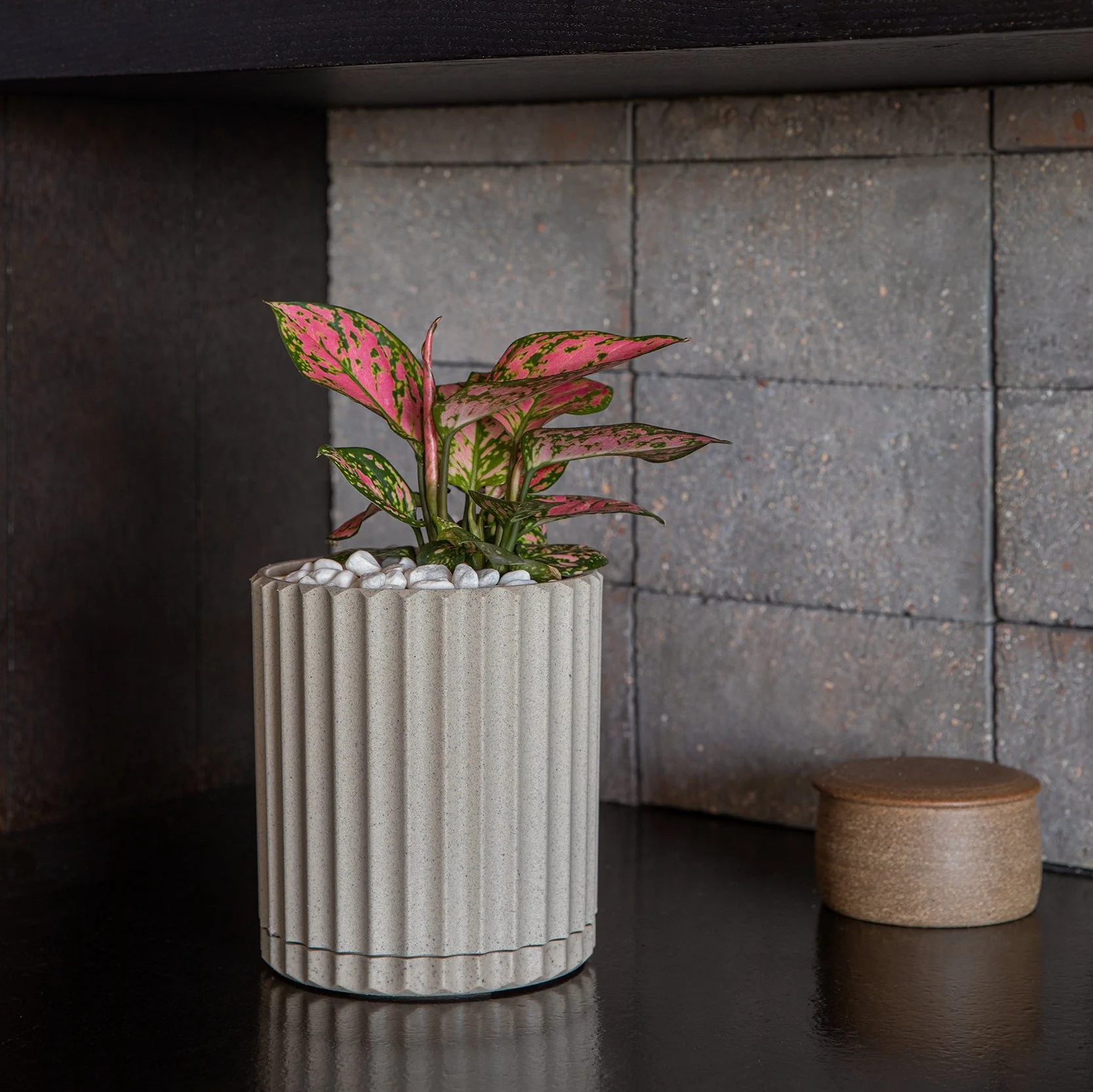 demi six planter - Image 37