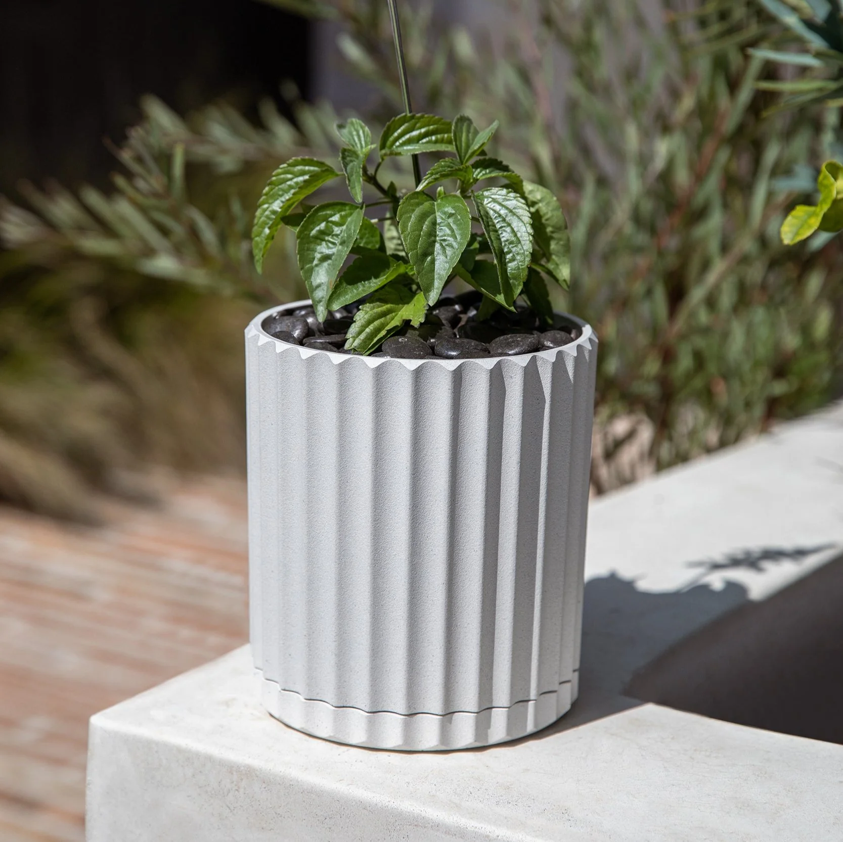 demi six planter - Image 39