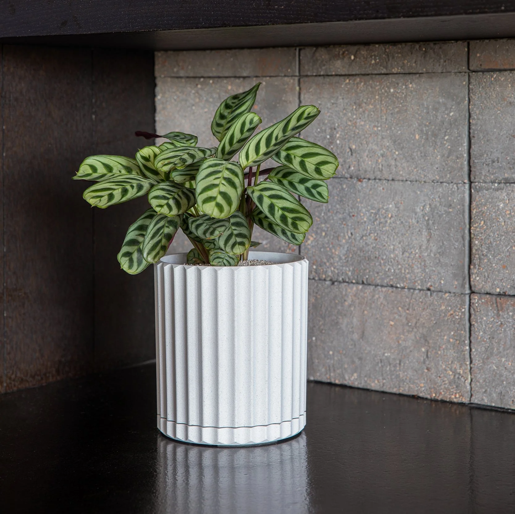 demi six planter - Image 50