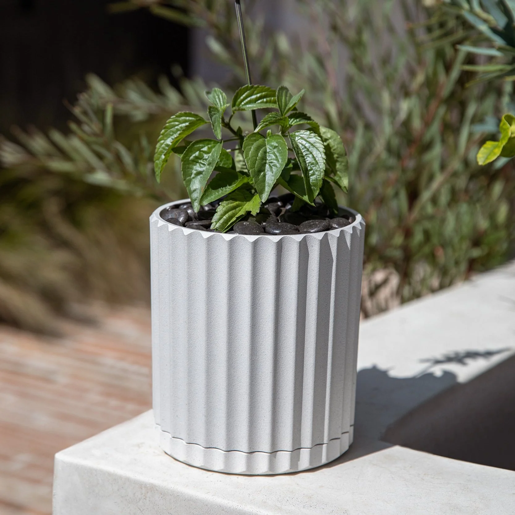 demi six planter - Image 53