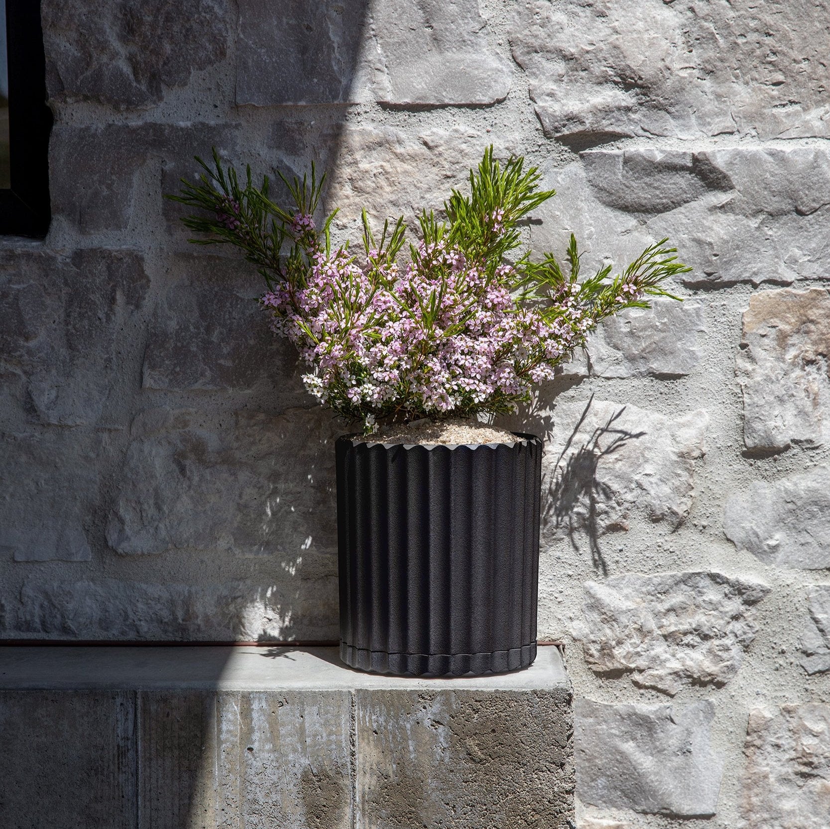 demi six planter - Image 55