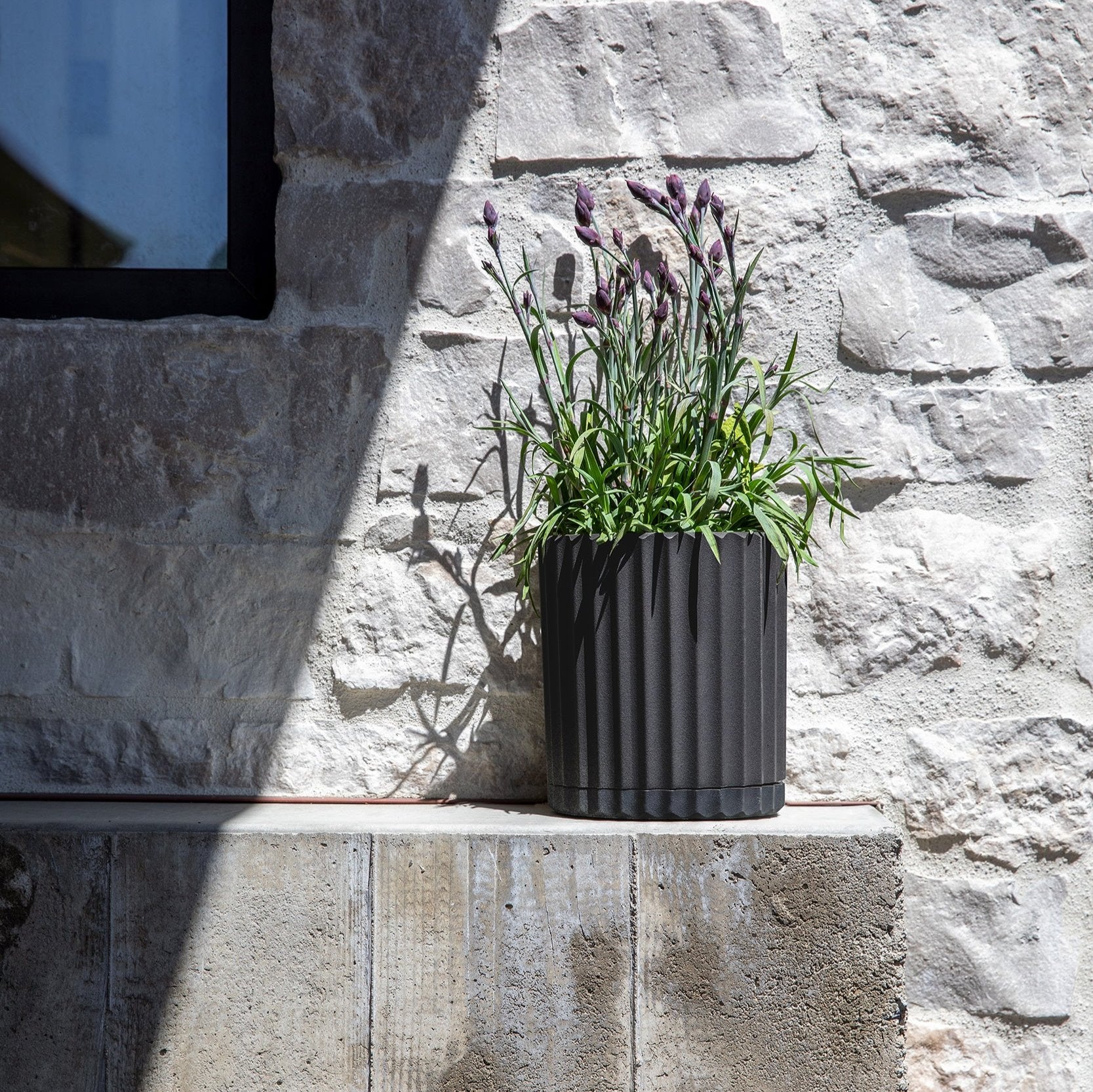 demi six planter - Image 56