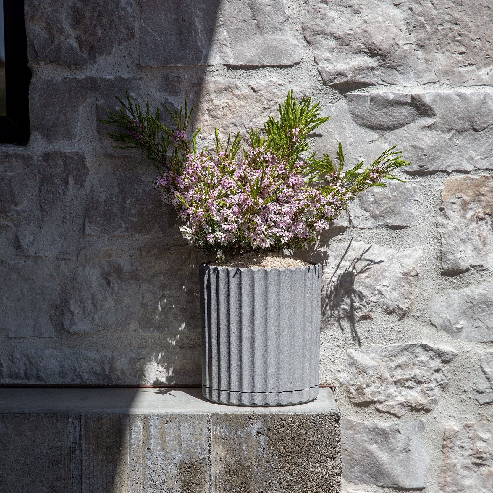 demi six planter - Image 58