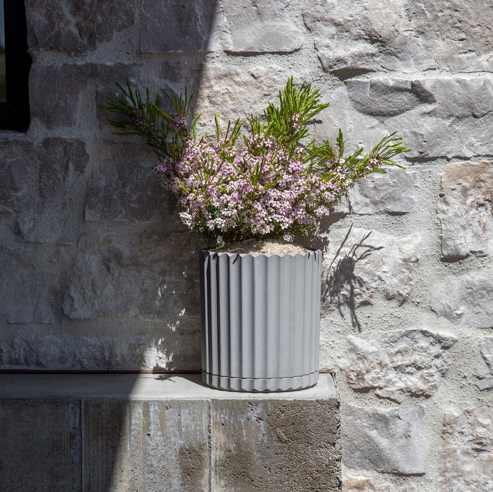 demi six planter - Image 64