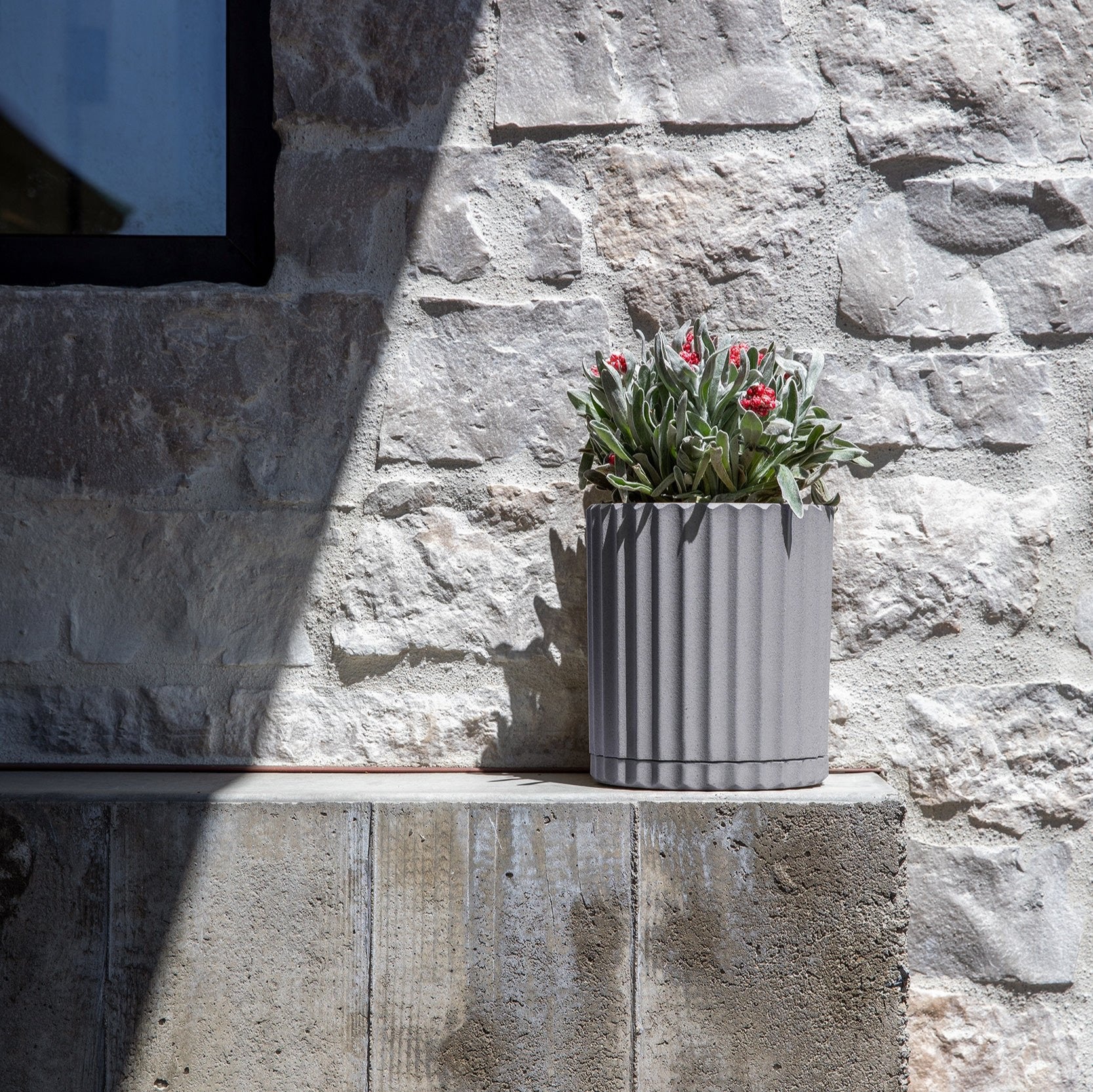 demi six planter - Image 65