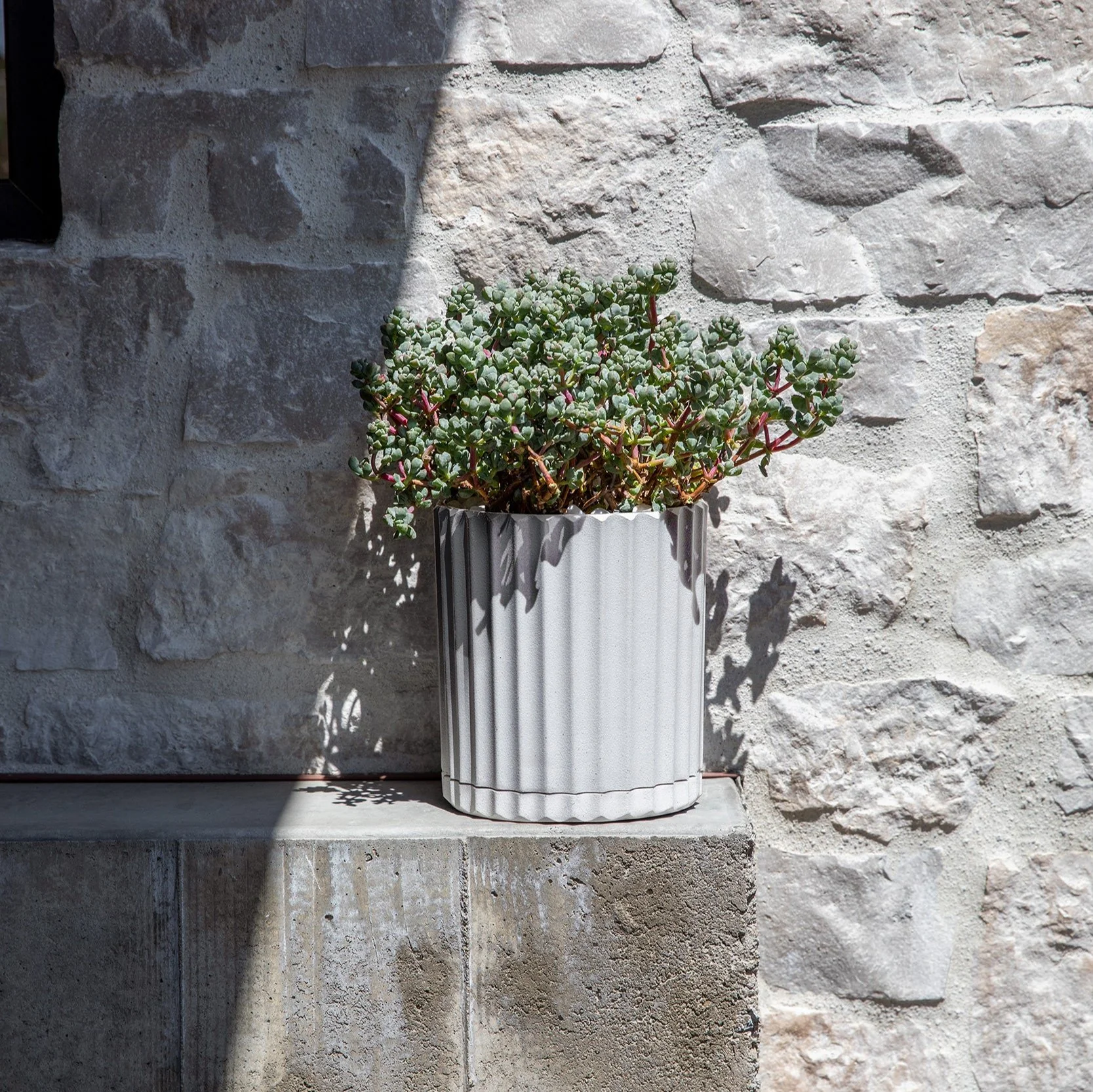 demi six planter - Image 67