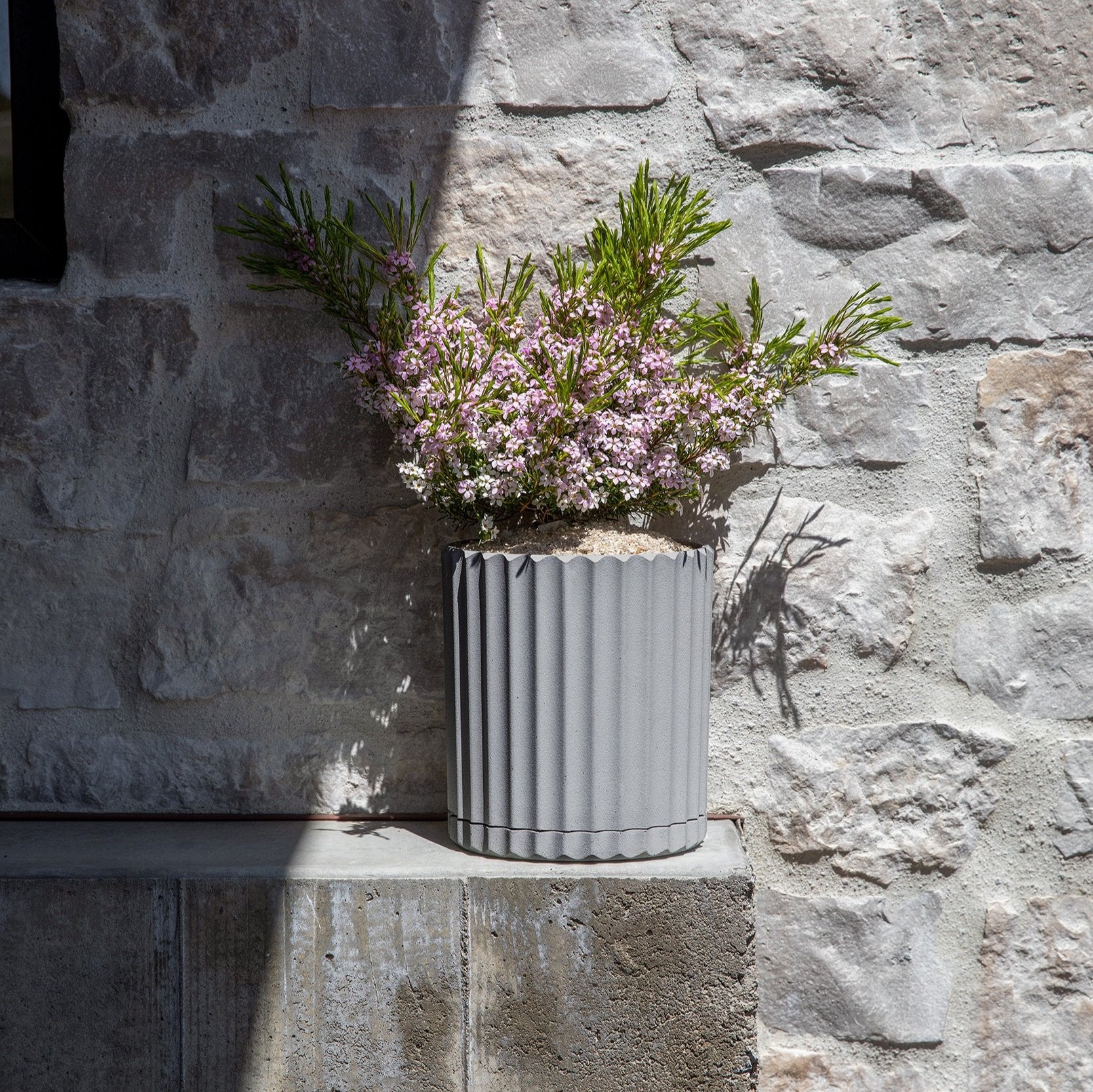demi six planter - Image 70