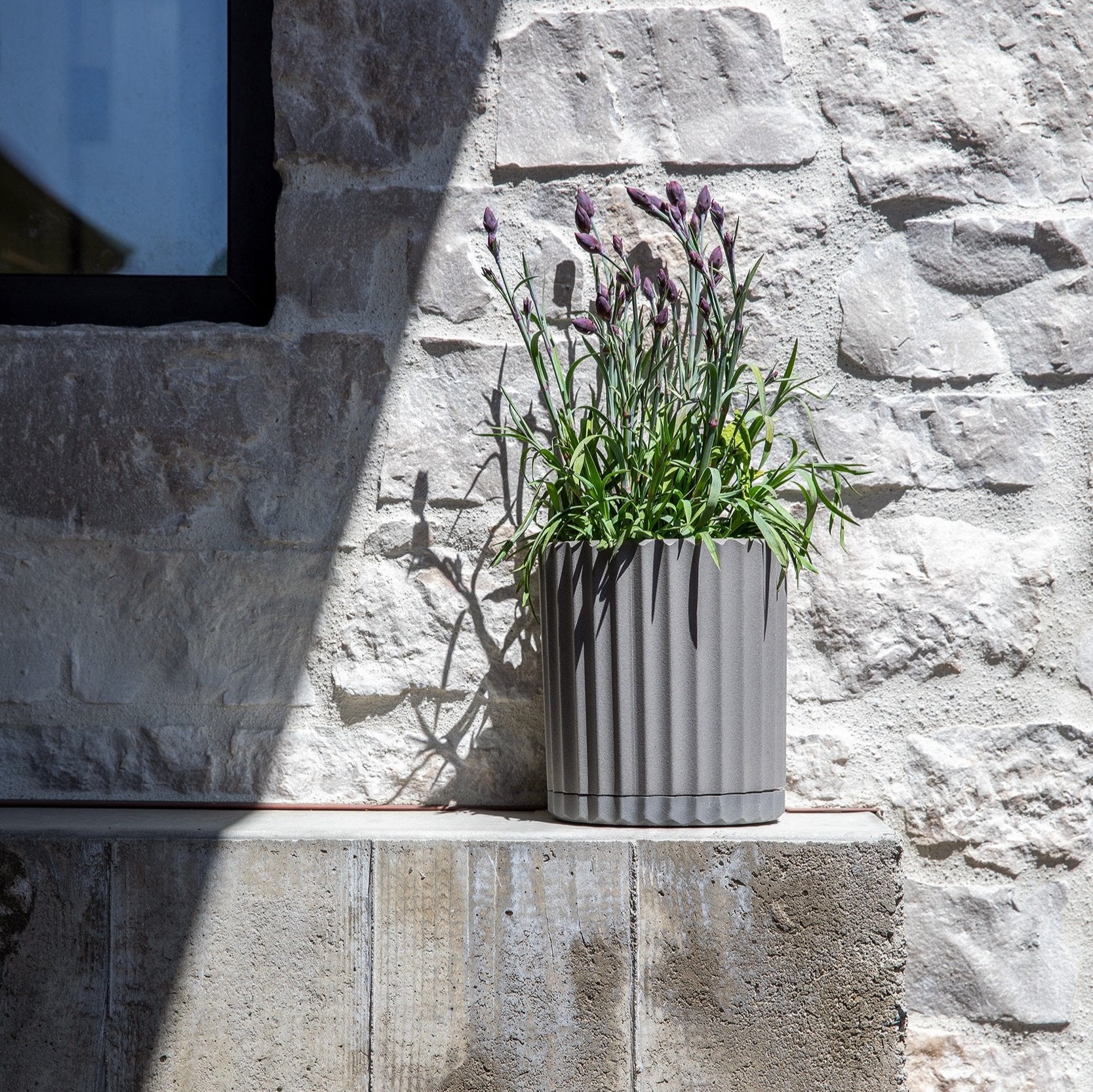 demi six planter - Image 72