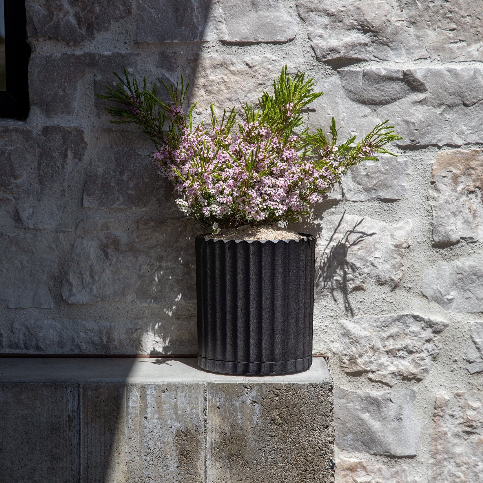 demi six planter - Image 73