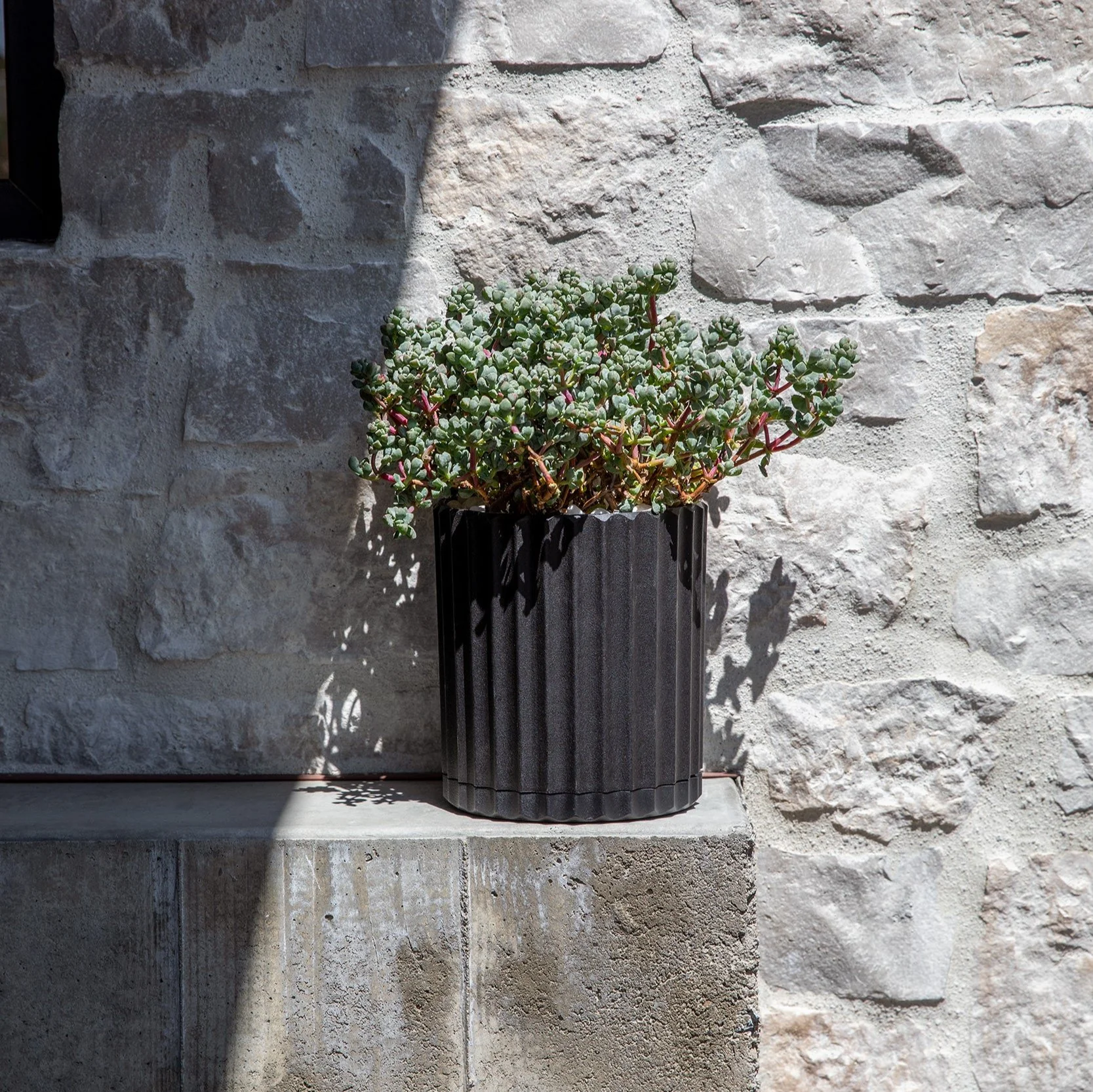 demi six planter - Image 74