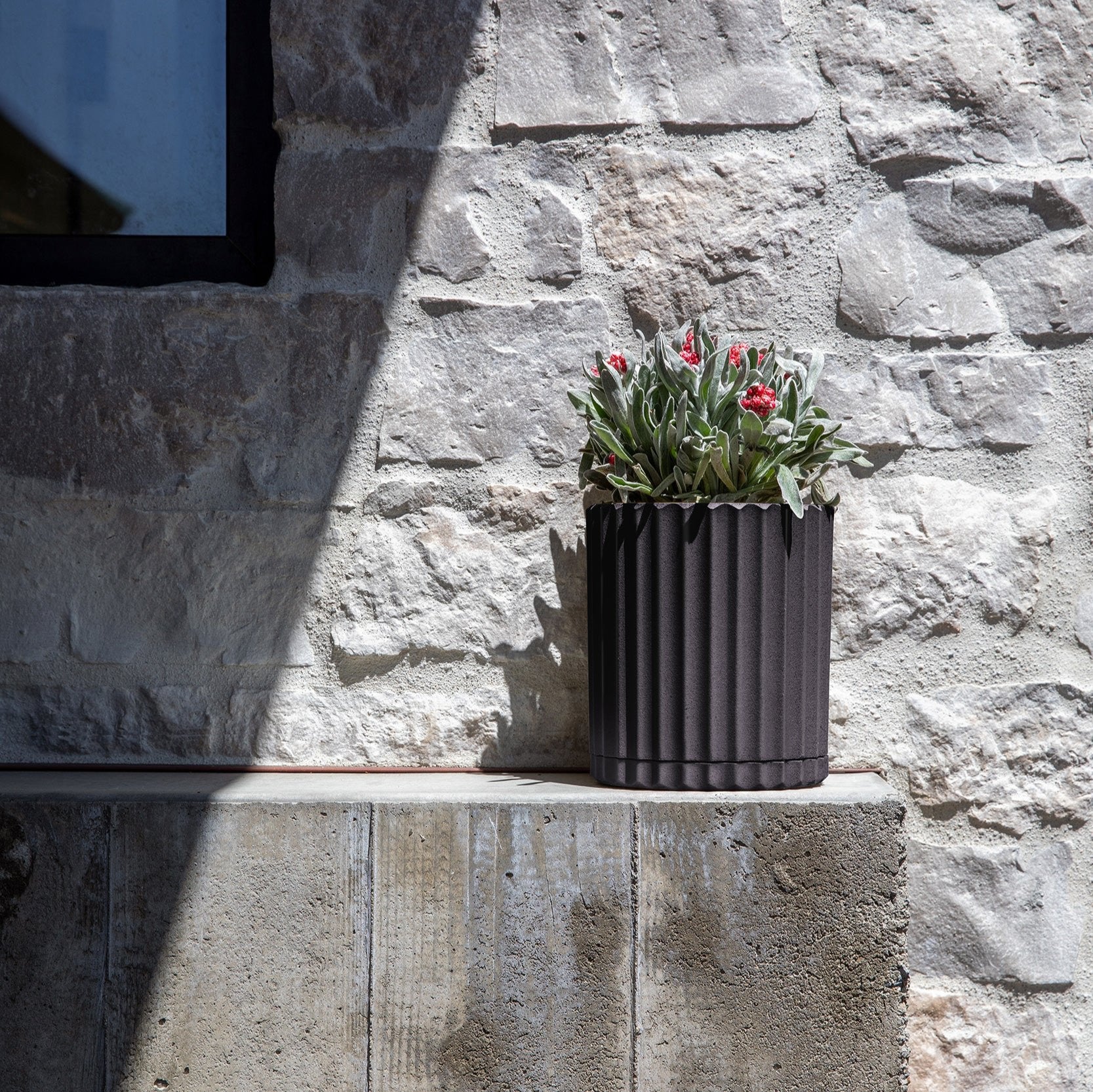 demi six planter - Image 75