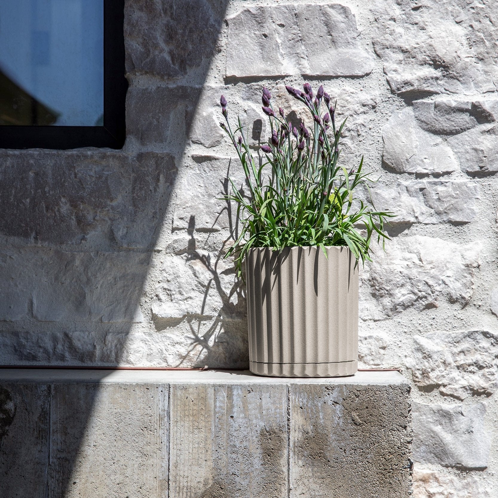 demi six planter - Image 77