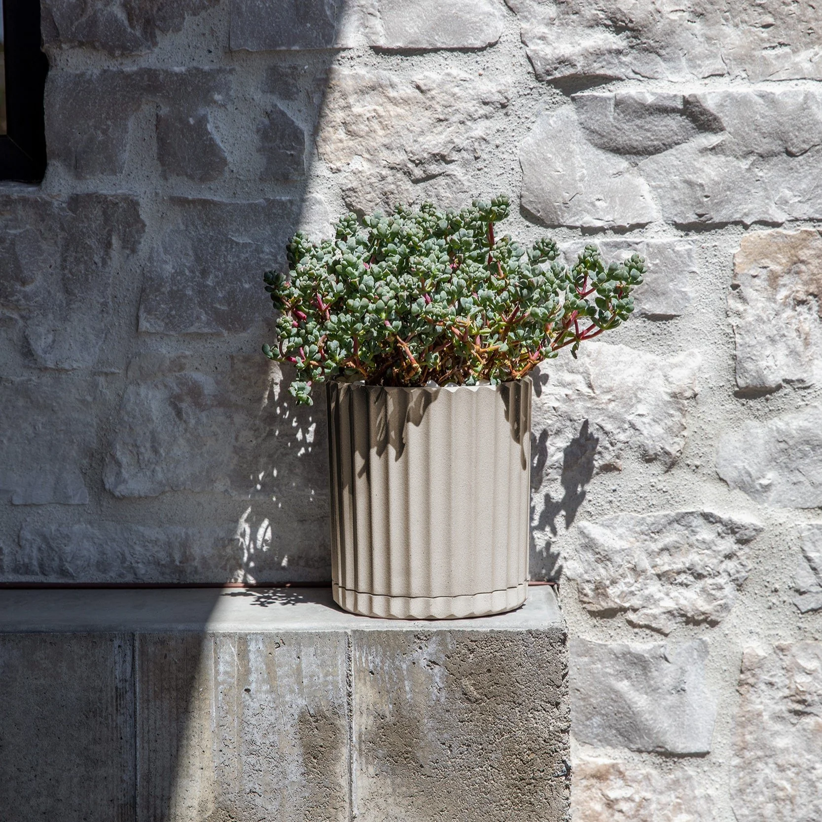 demi six planter - Image 78