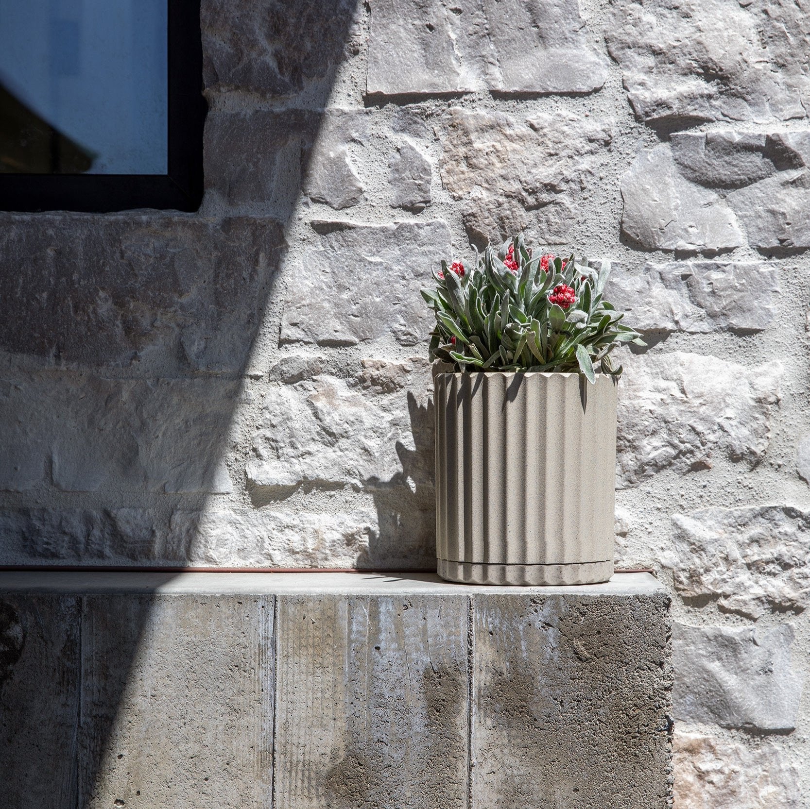 demi six planter - Image 79