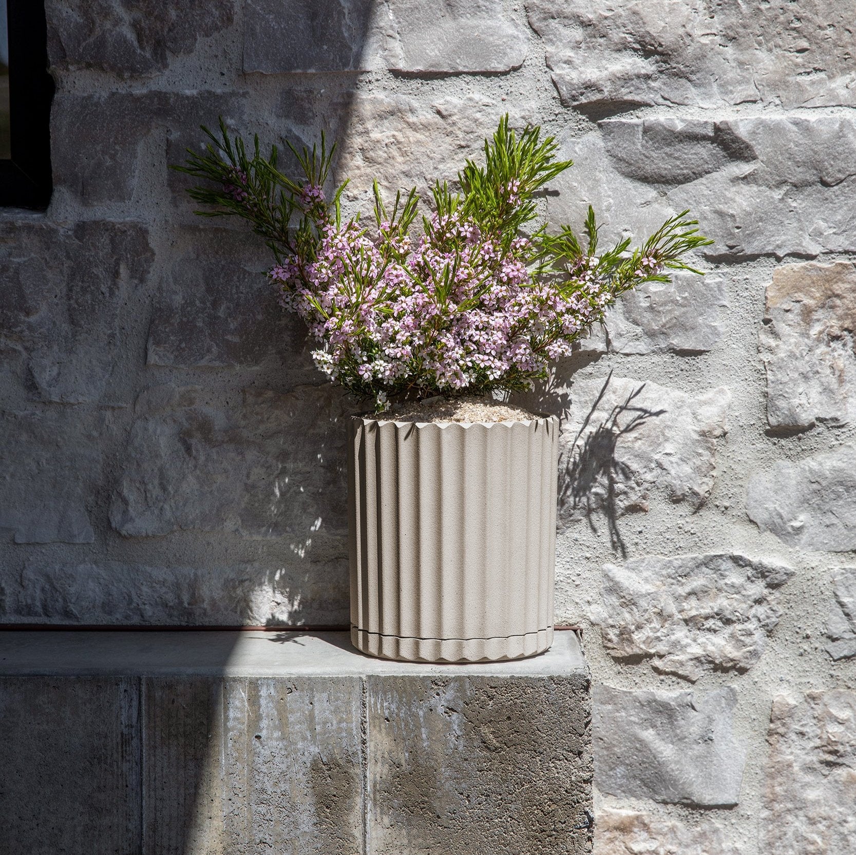 demi six planter - Image 80
