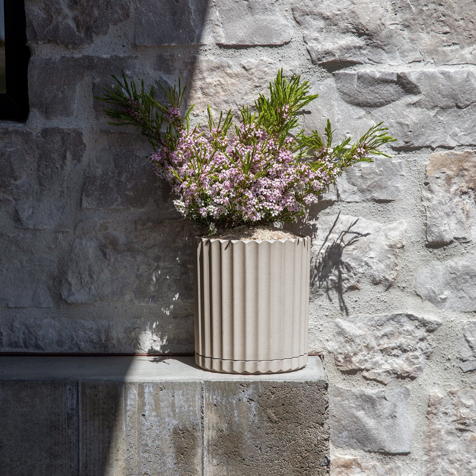 demi six planter - Image 82