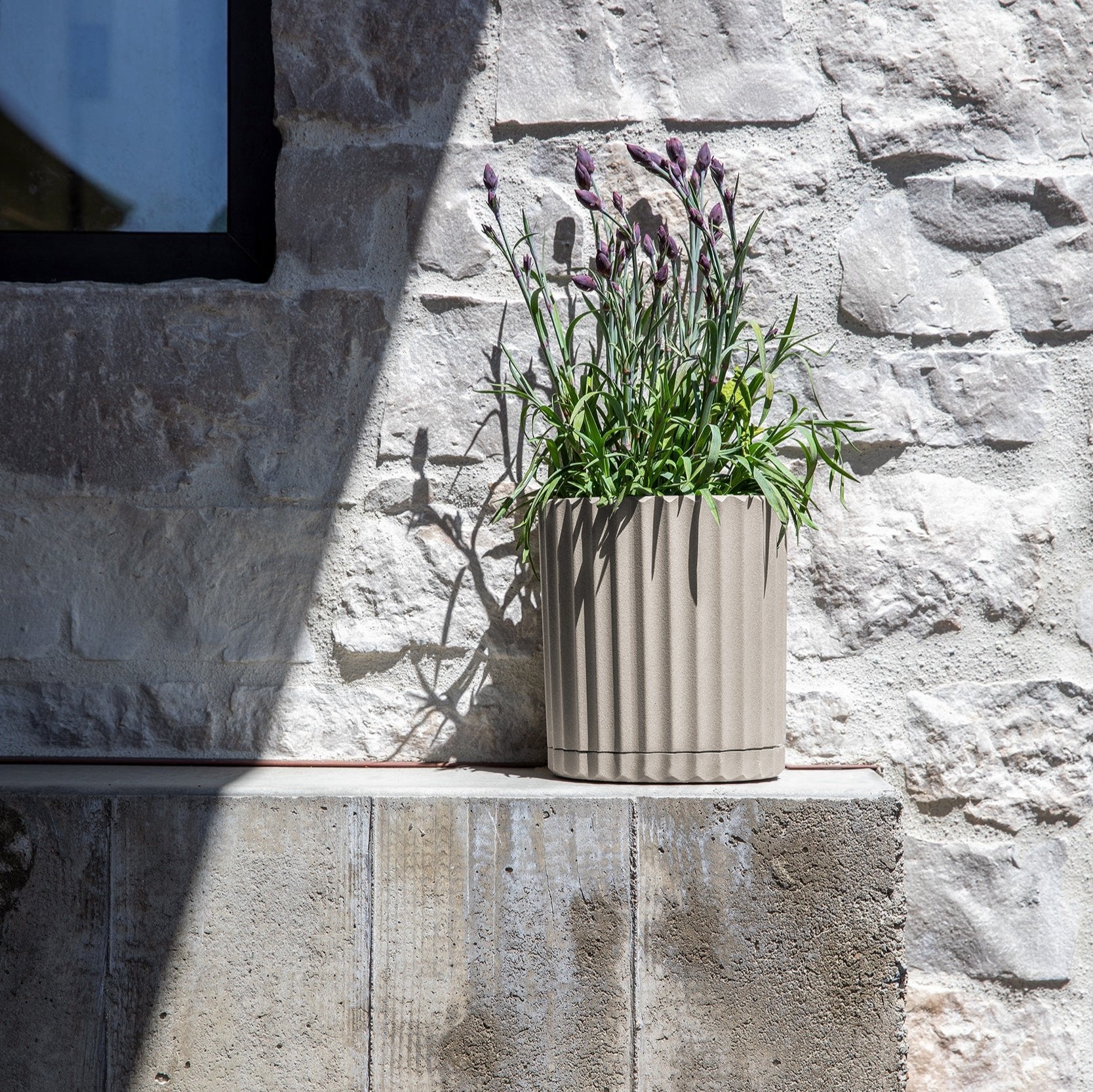 demi six planter - Image 84