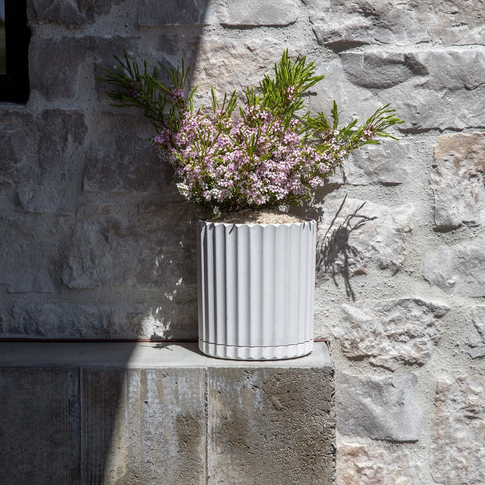 demi six planter - Image 85