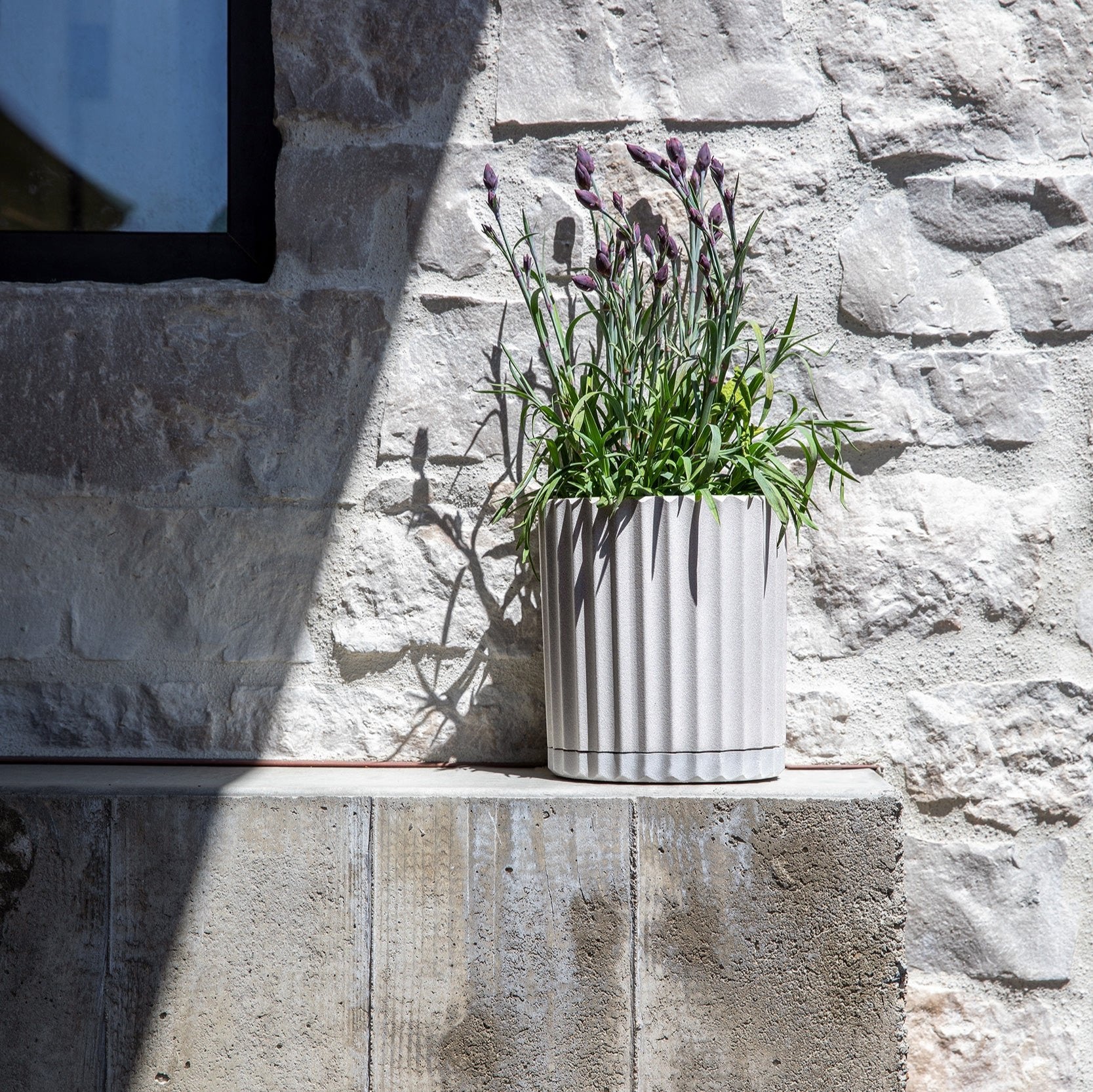 demi six planter - Image 86