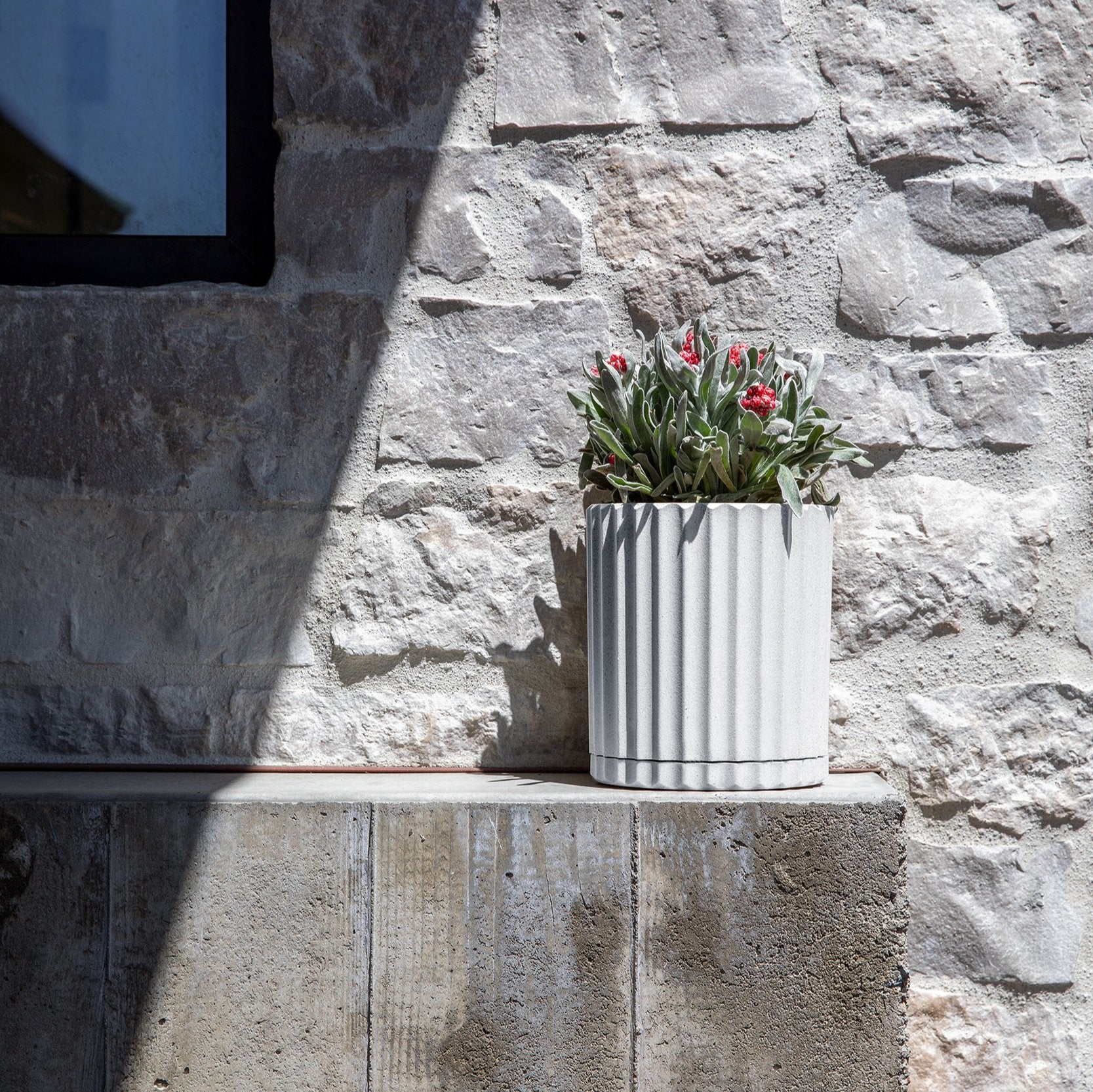 demi six planter - Image 88