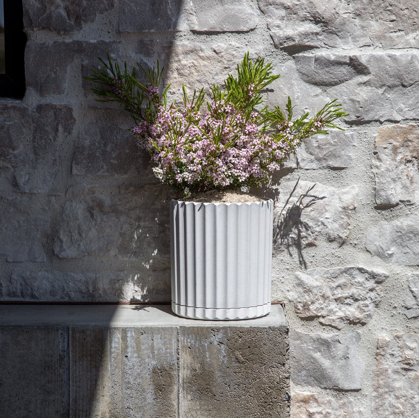 demi six planter - Image 90