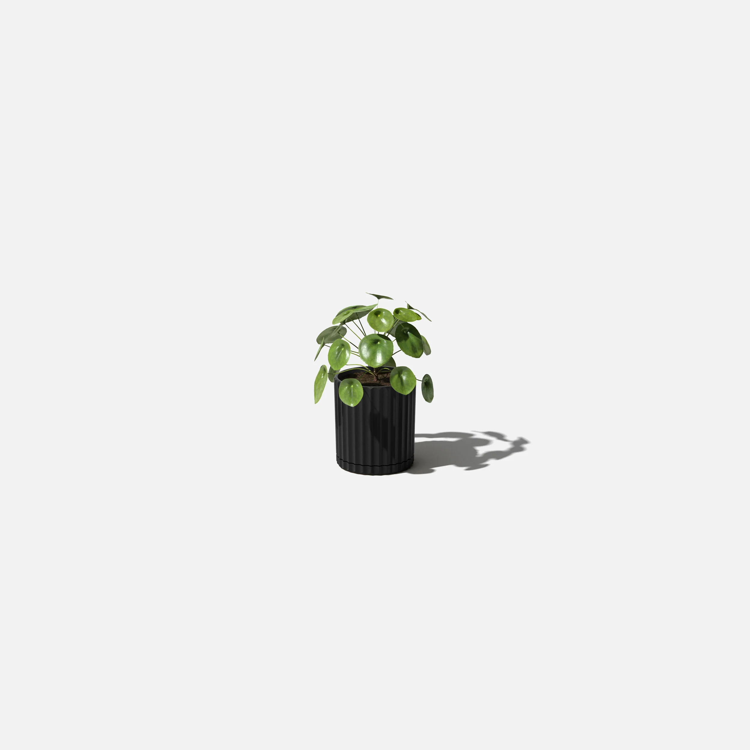 demi six planter - Image 95