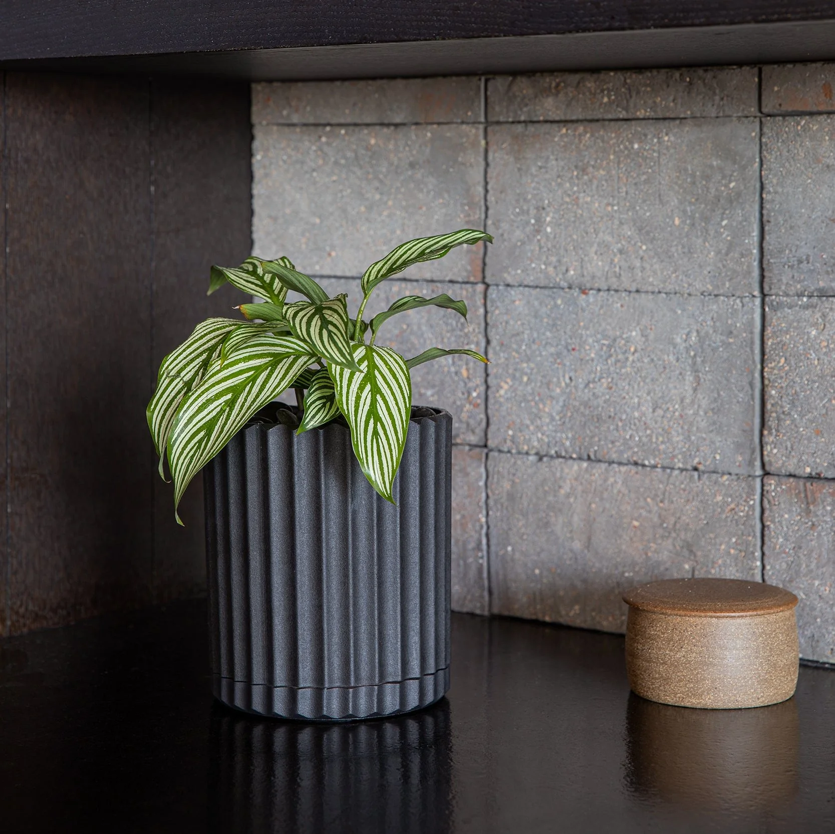 demi six planter - Image 96