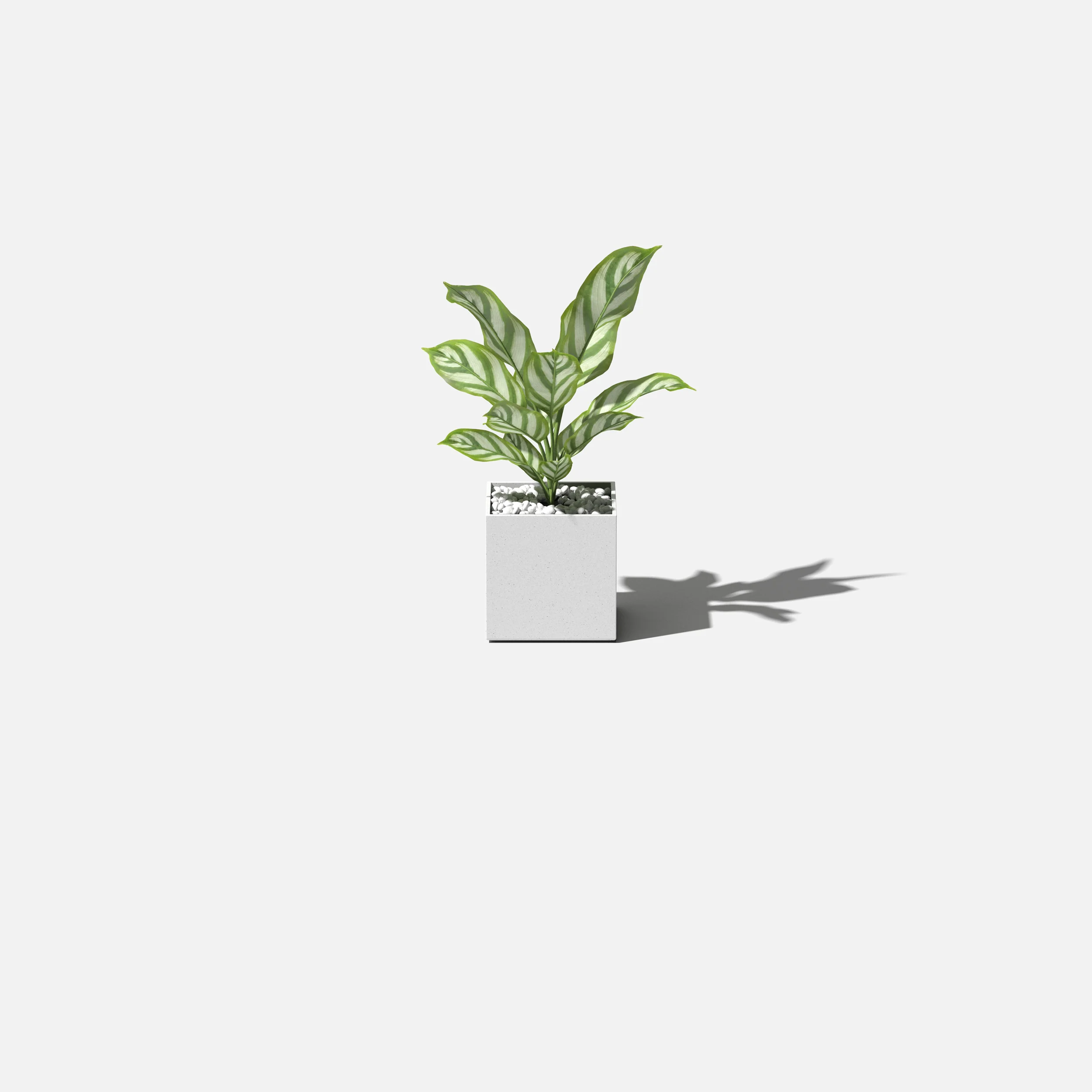 geo cube planter - Image 10