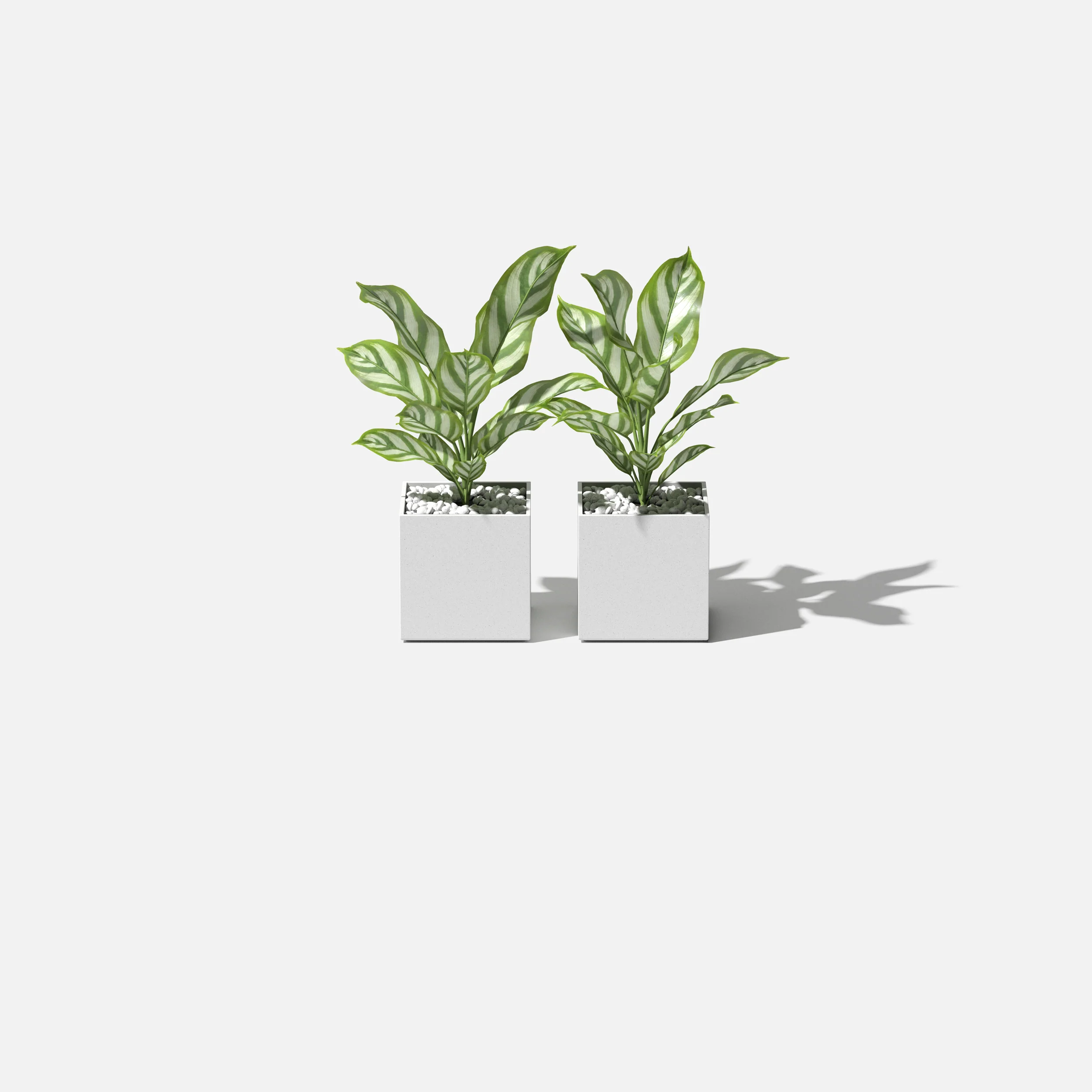 geo cube planter - Image 16