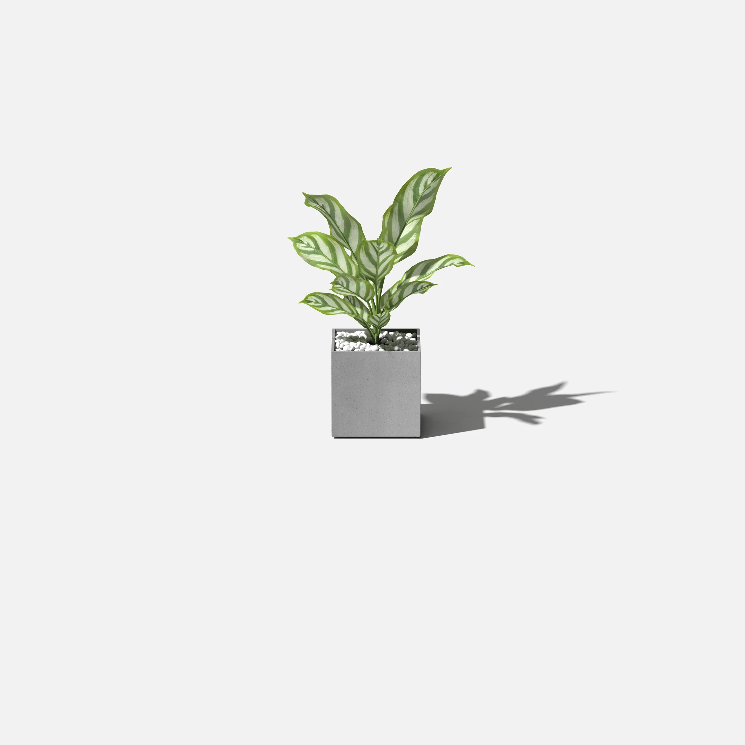 geo cube planter - Image 18